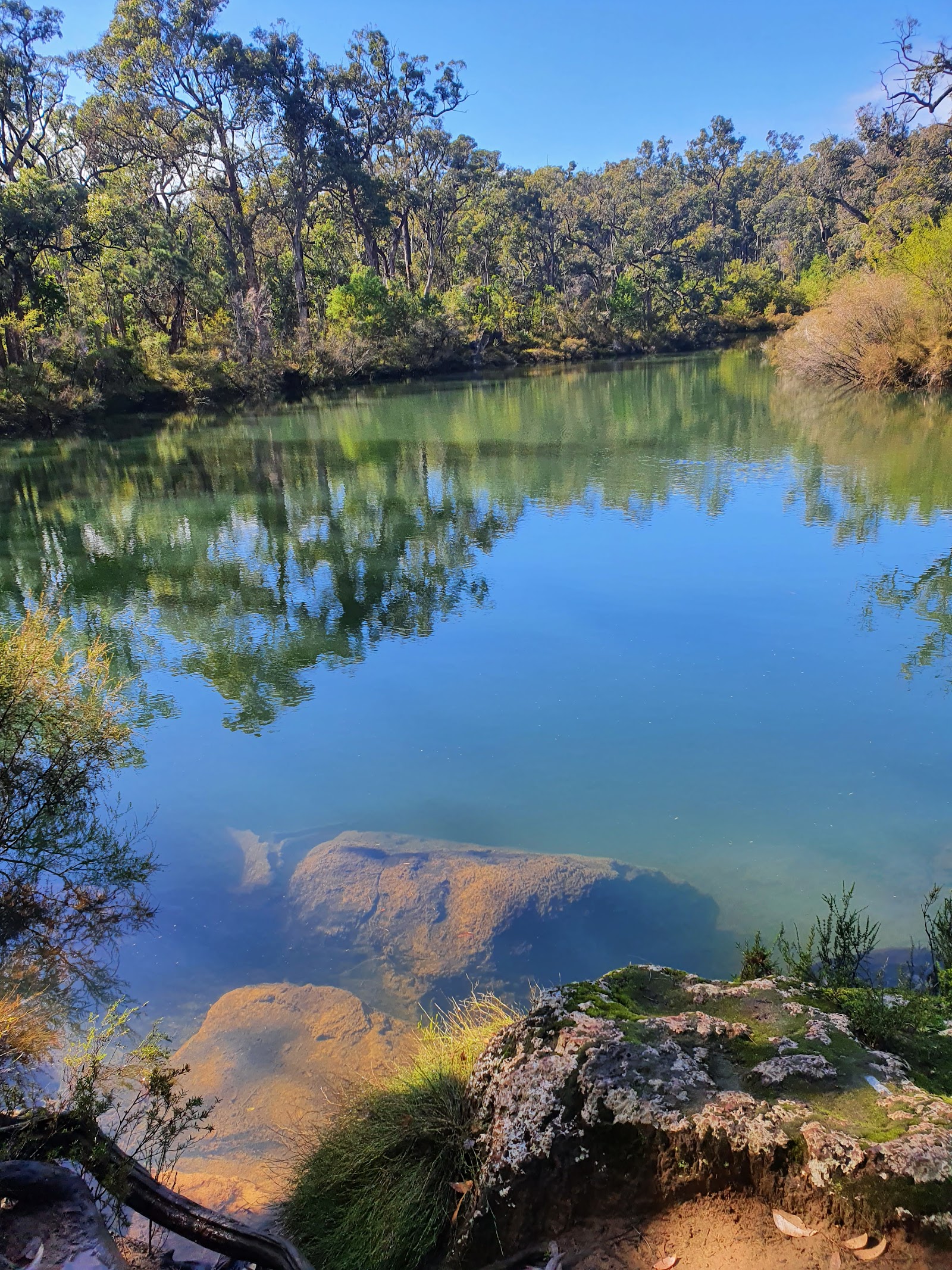 Canebrake Pool 5