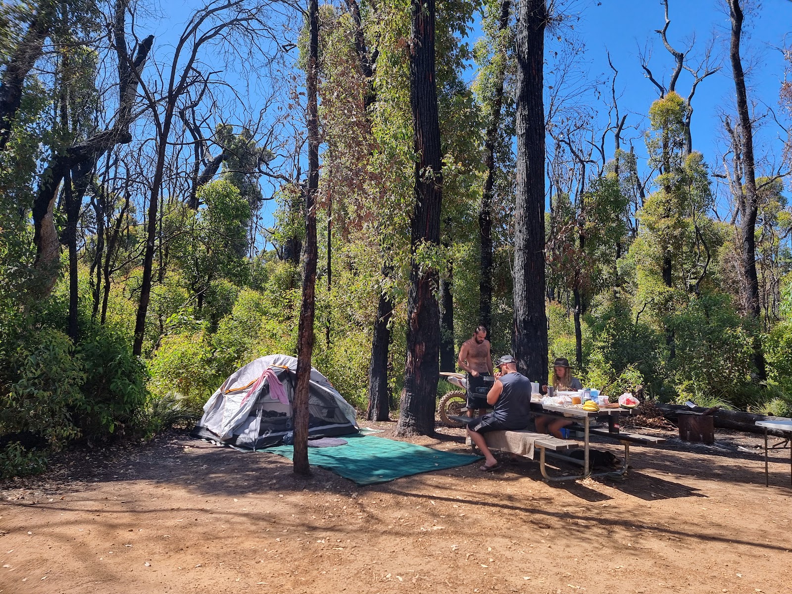Canebrake Pool 6