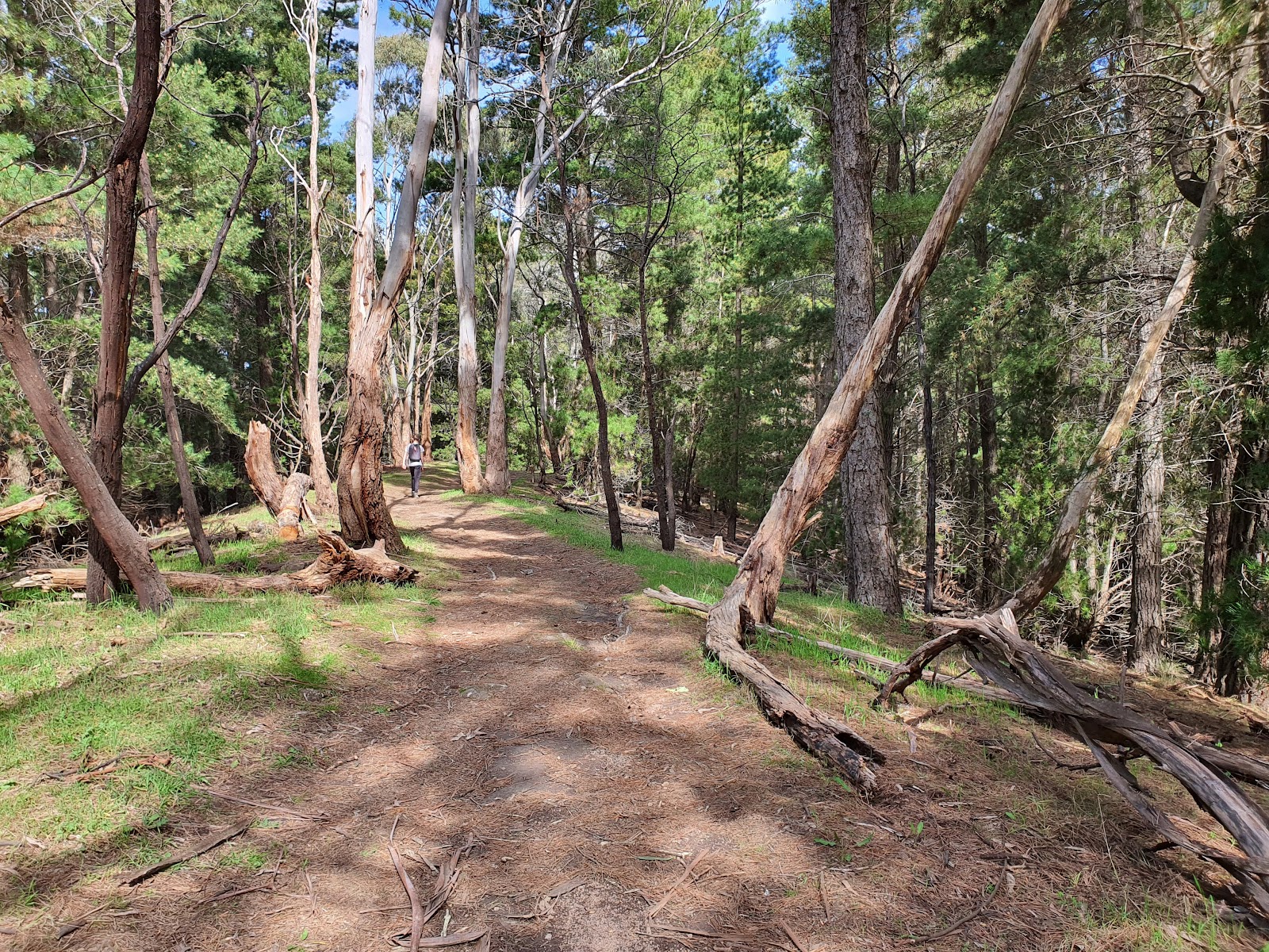 Mount Franklin Reserve Campground - Hepburn Regional Park 3