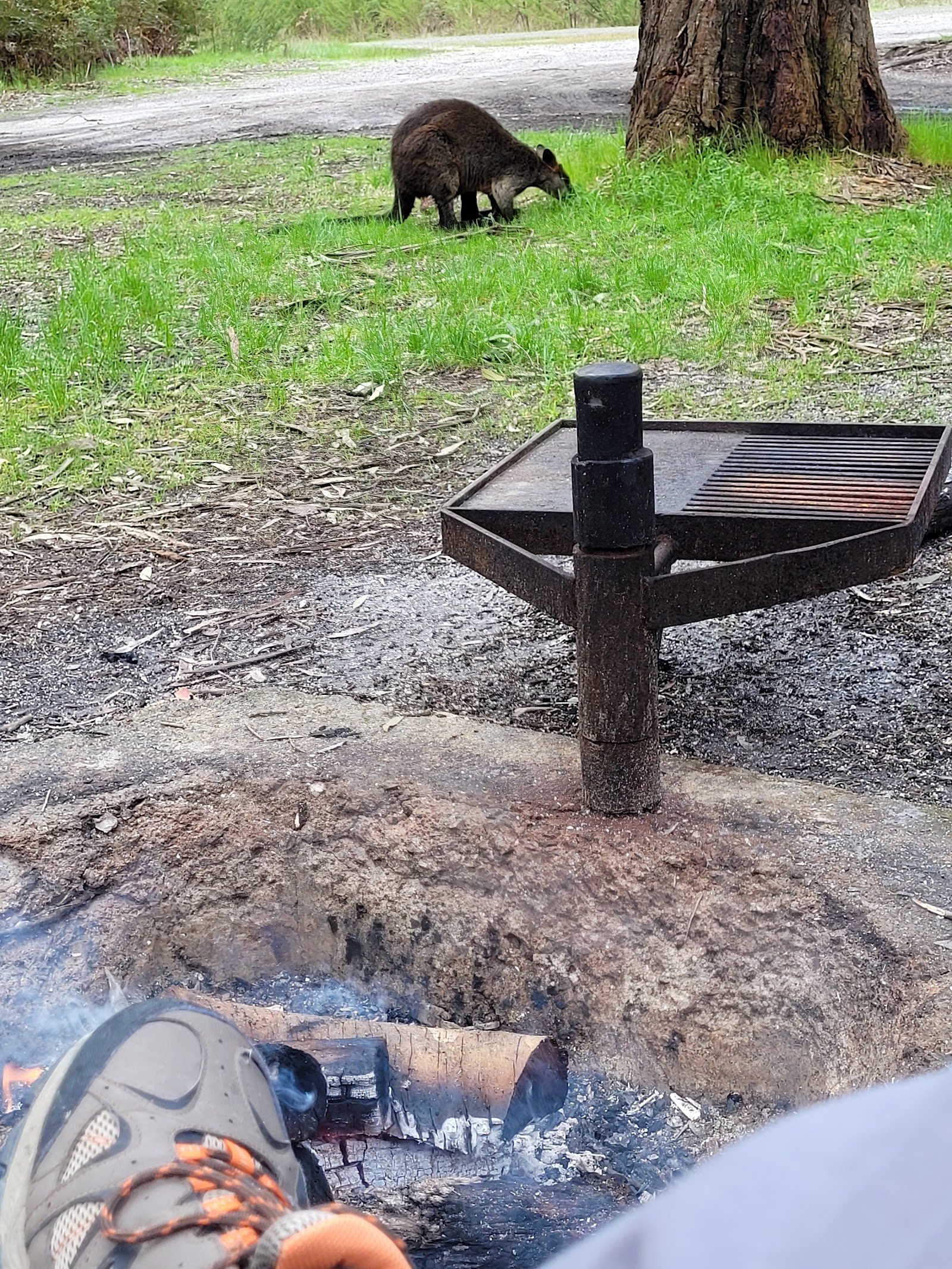 Smiths Bridge Camping Area 3