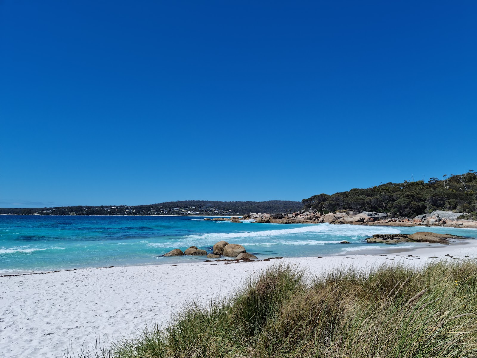 Jeanneret Beach Campground - Bay of Fires Cons Area 2
