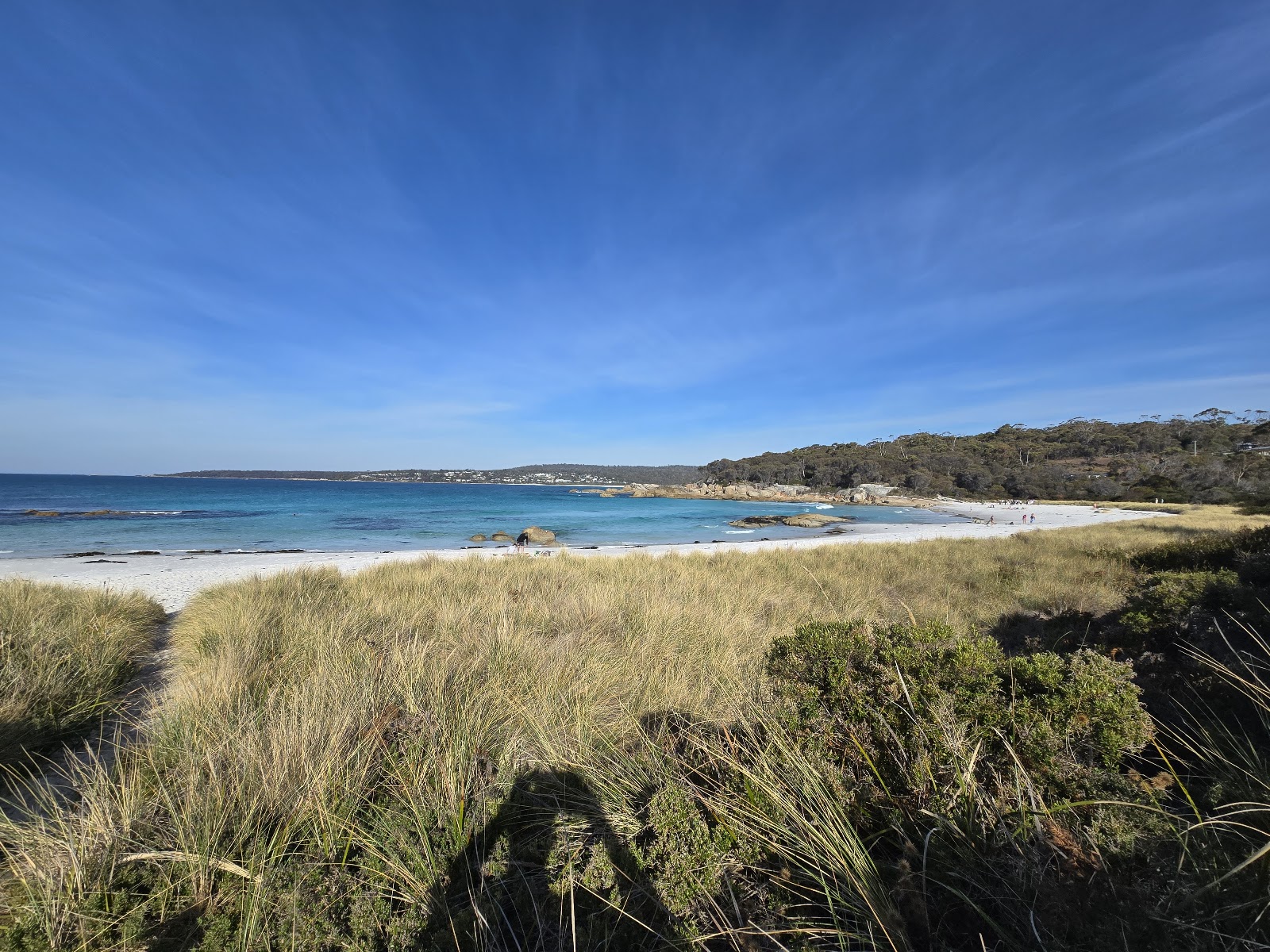 Jeanneret Beach Campground - Bay of Fires Cons Area 3