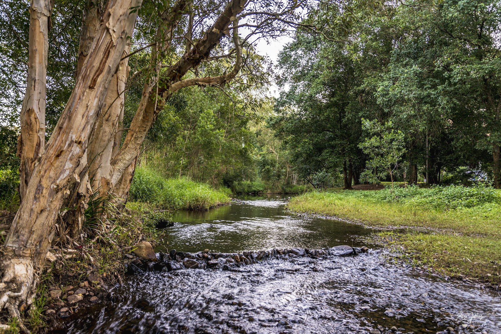 Running Creek Camping 2