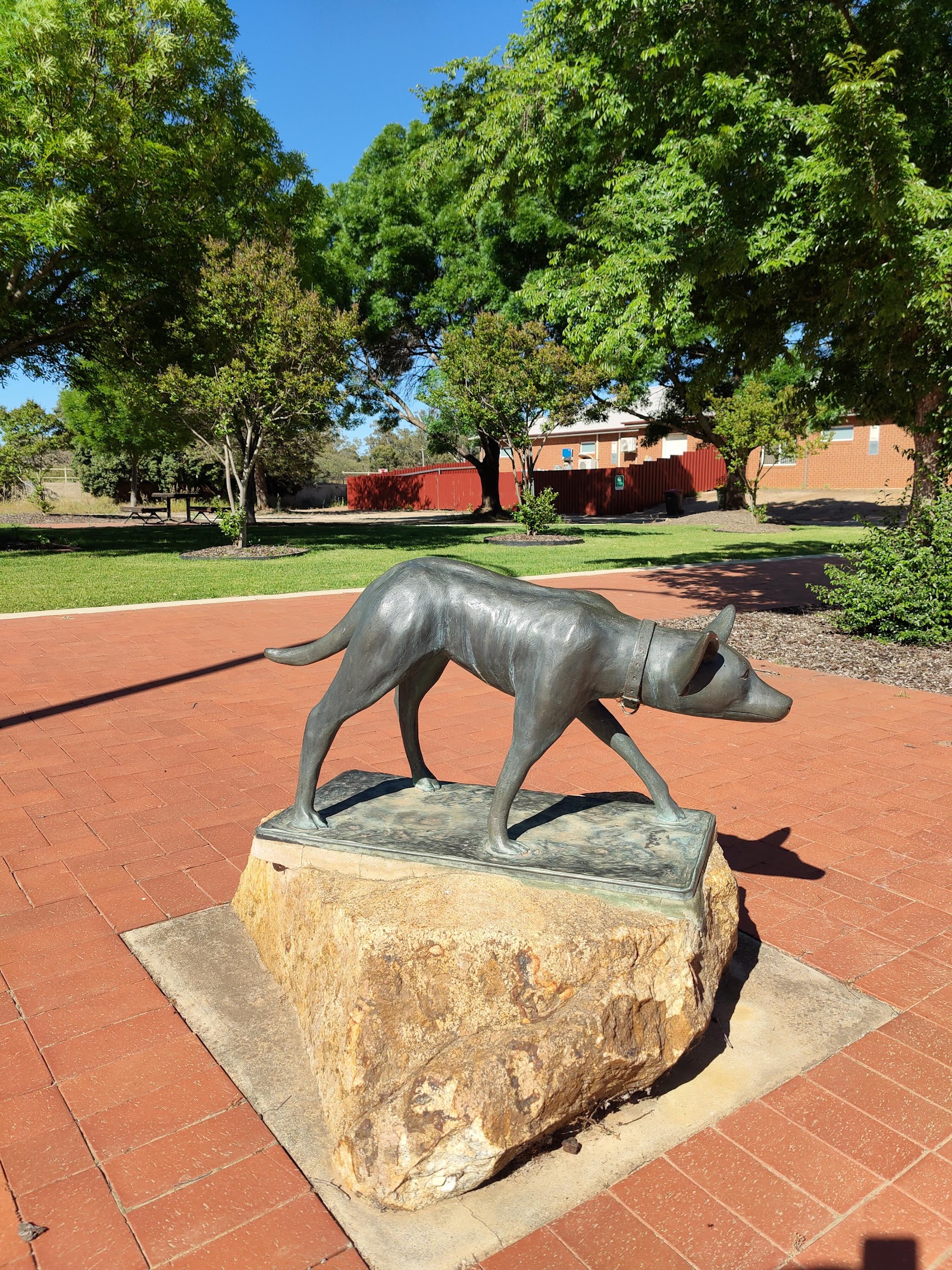 Ardlethan Recreational Park 3