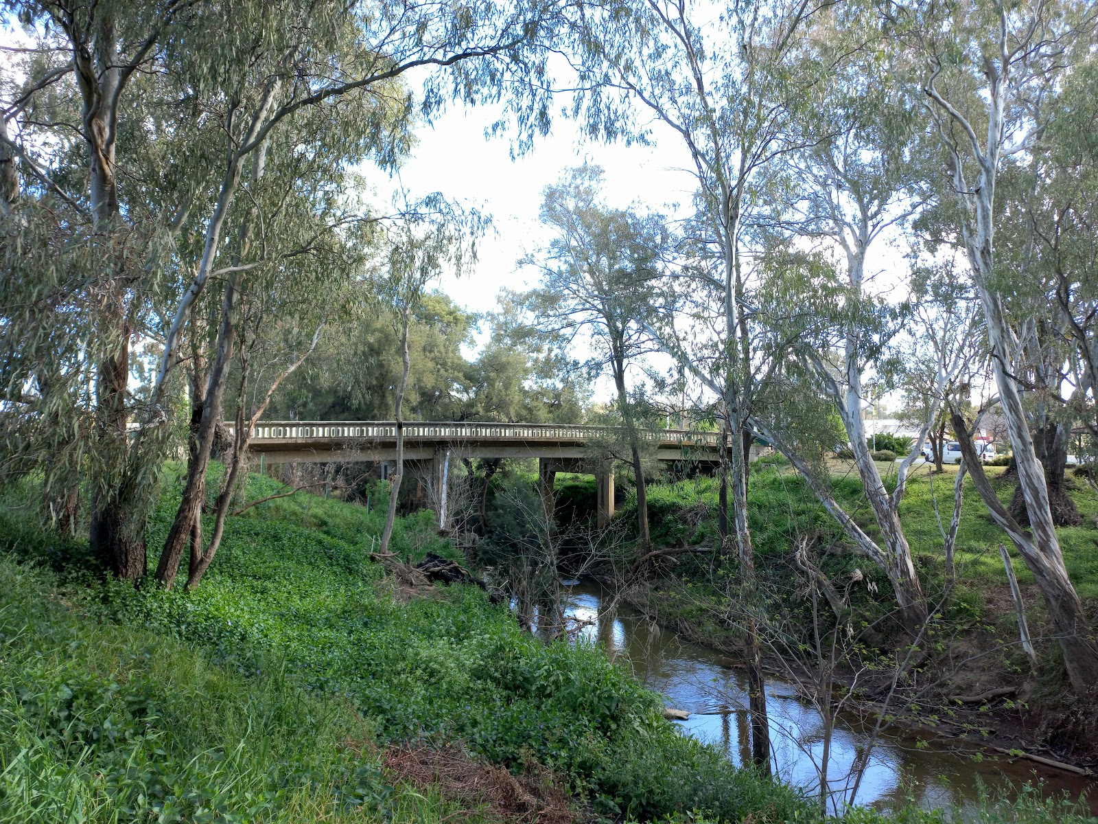 Pioneer Park 4