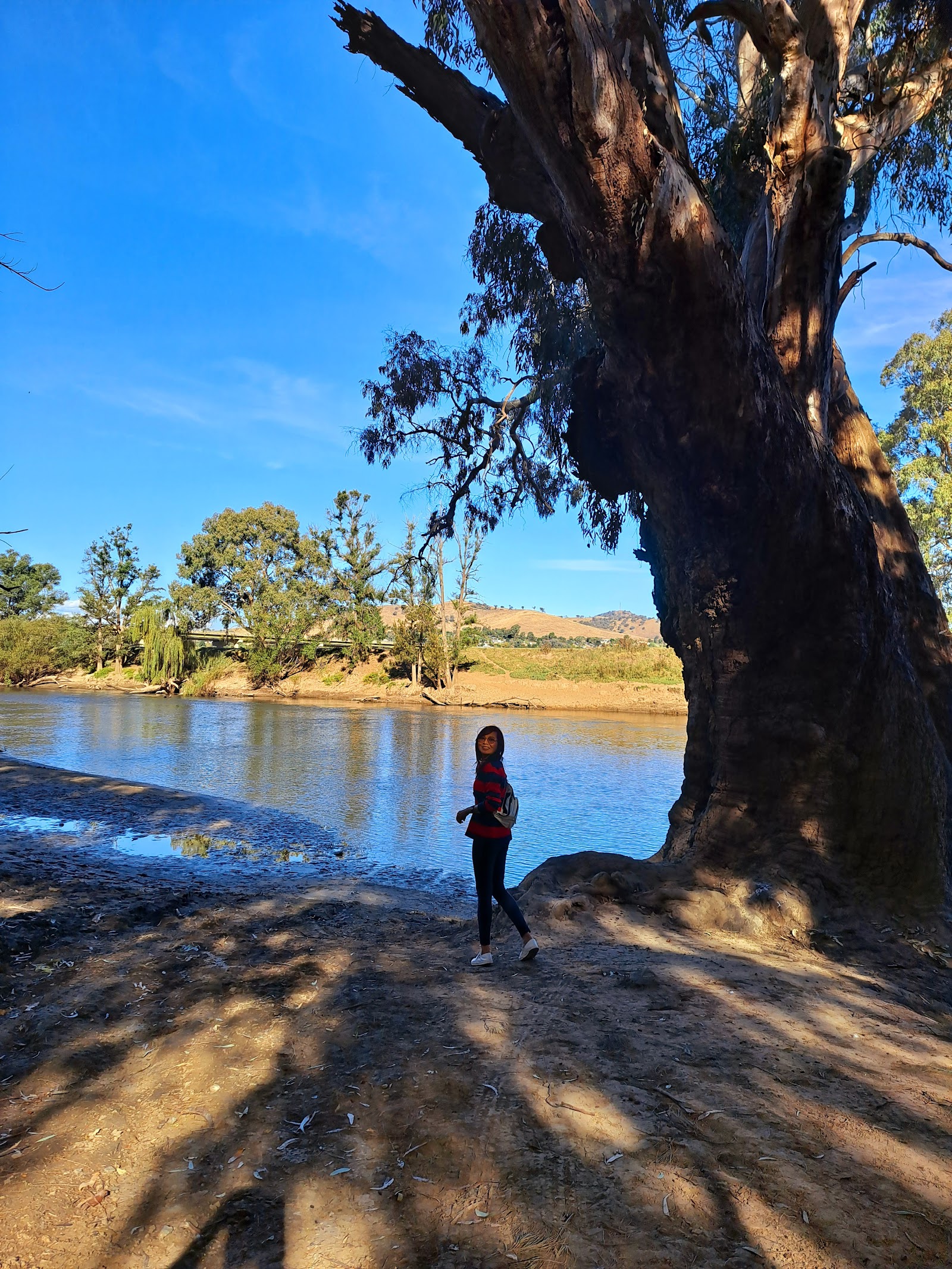 Old Junee Recreation Reserve 2