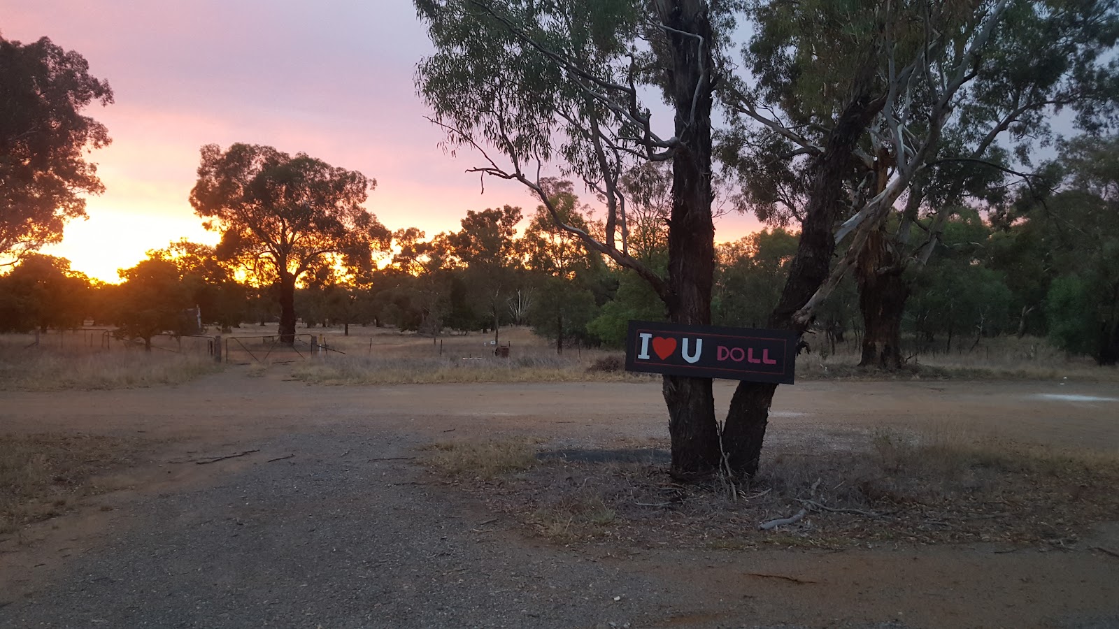 Old Junee Recreation Reserve 3