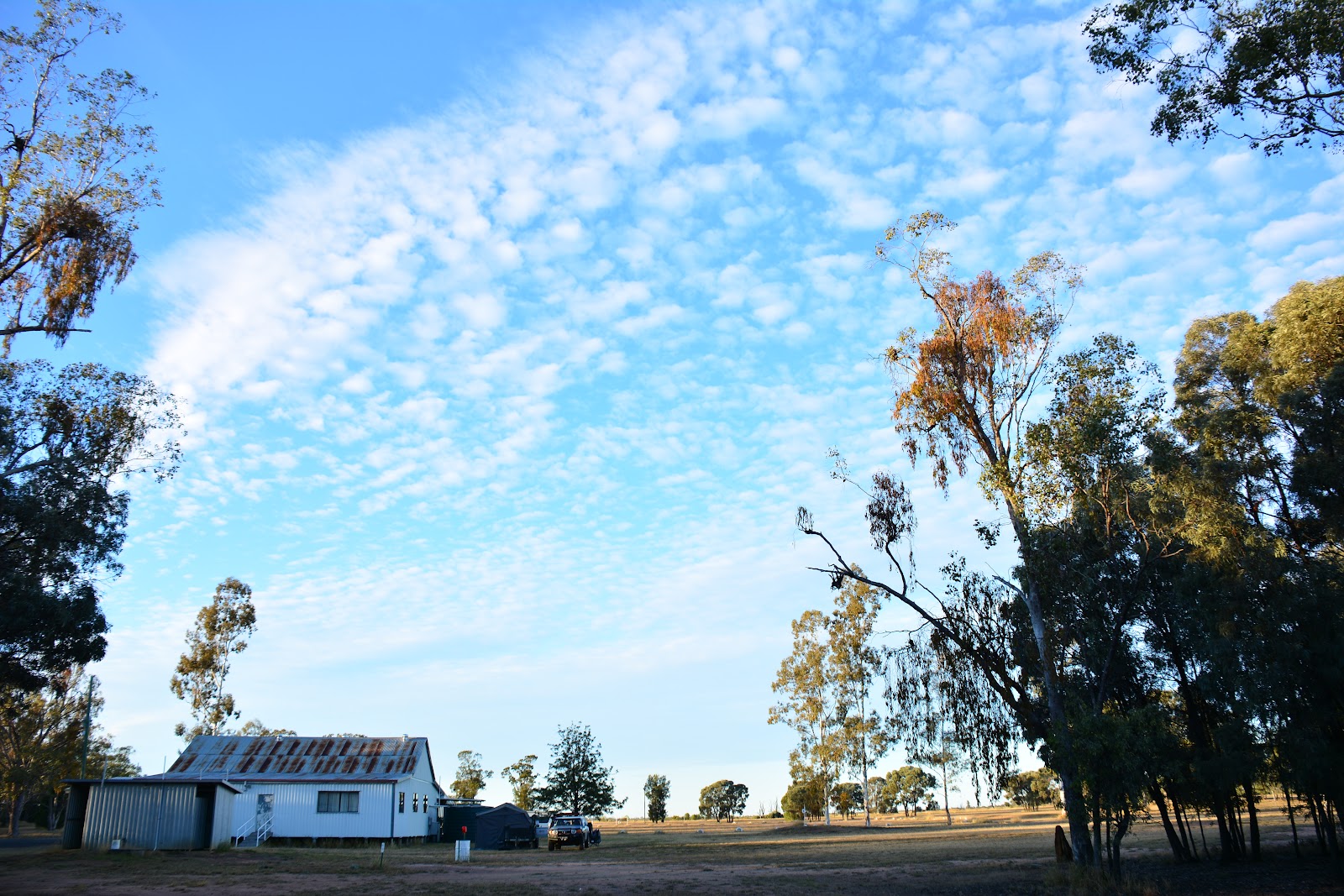 The Gums 5