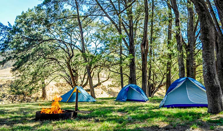 Capertee Campground 2
