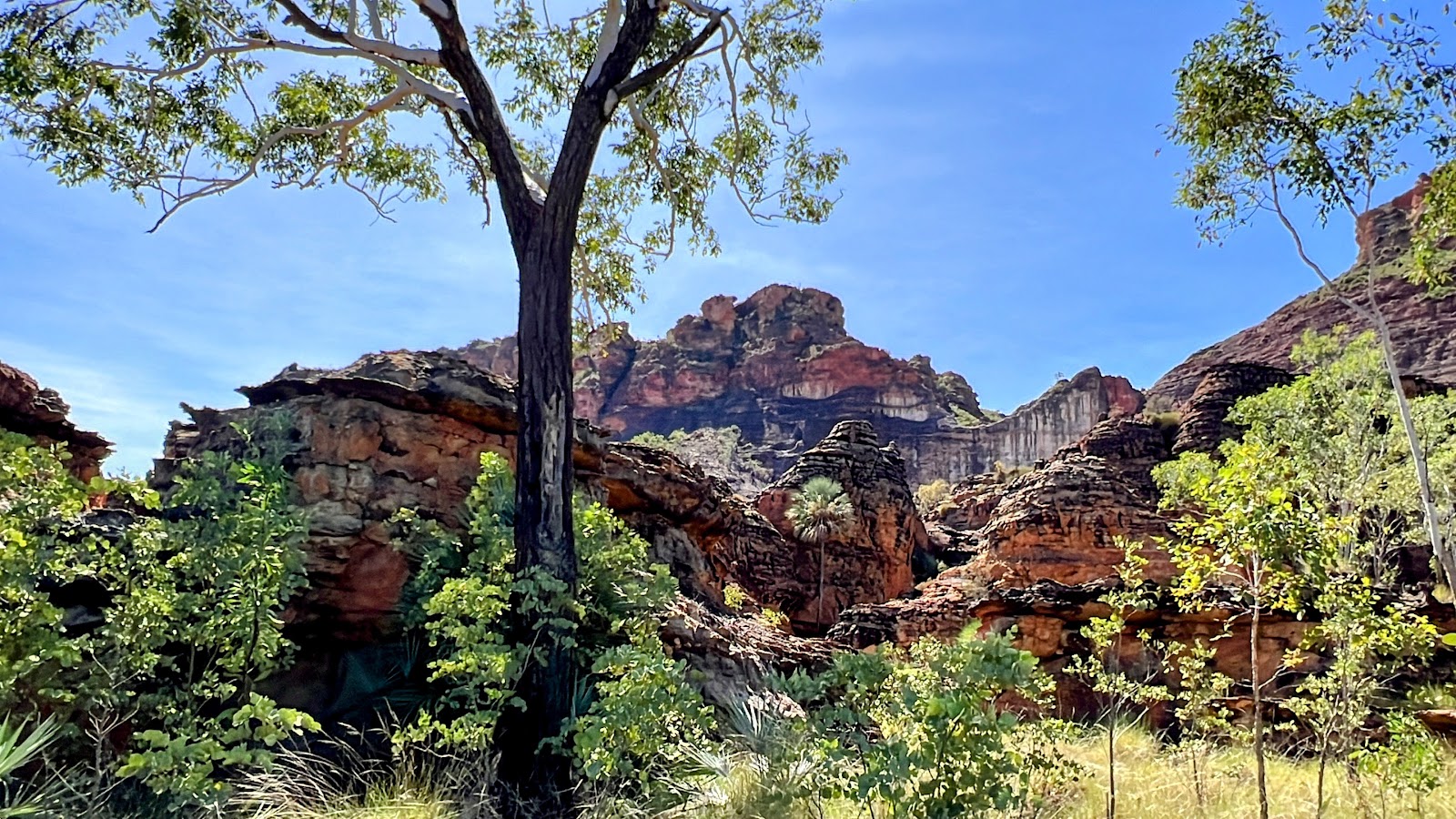Goorrandalng Campground 2