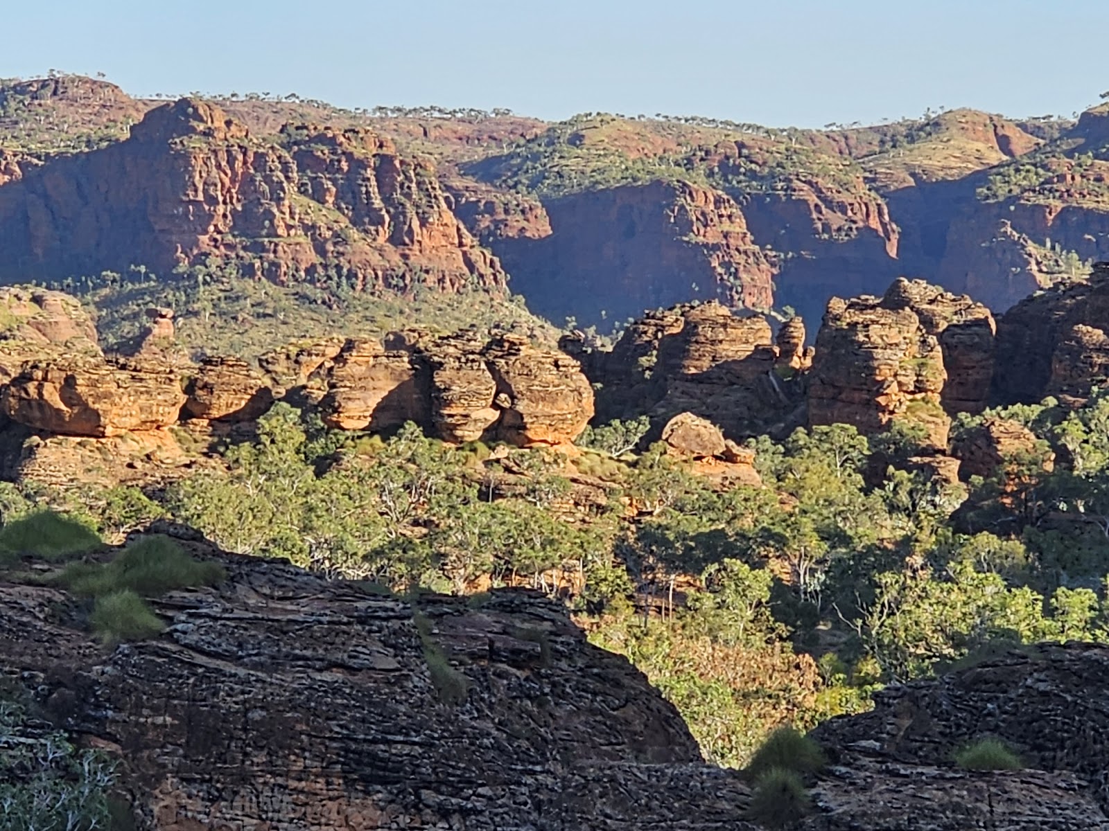 Goorrandalng Campground 6