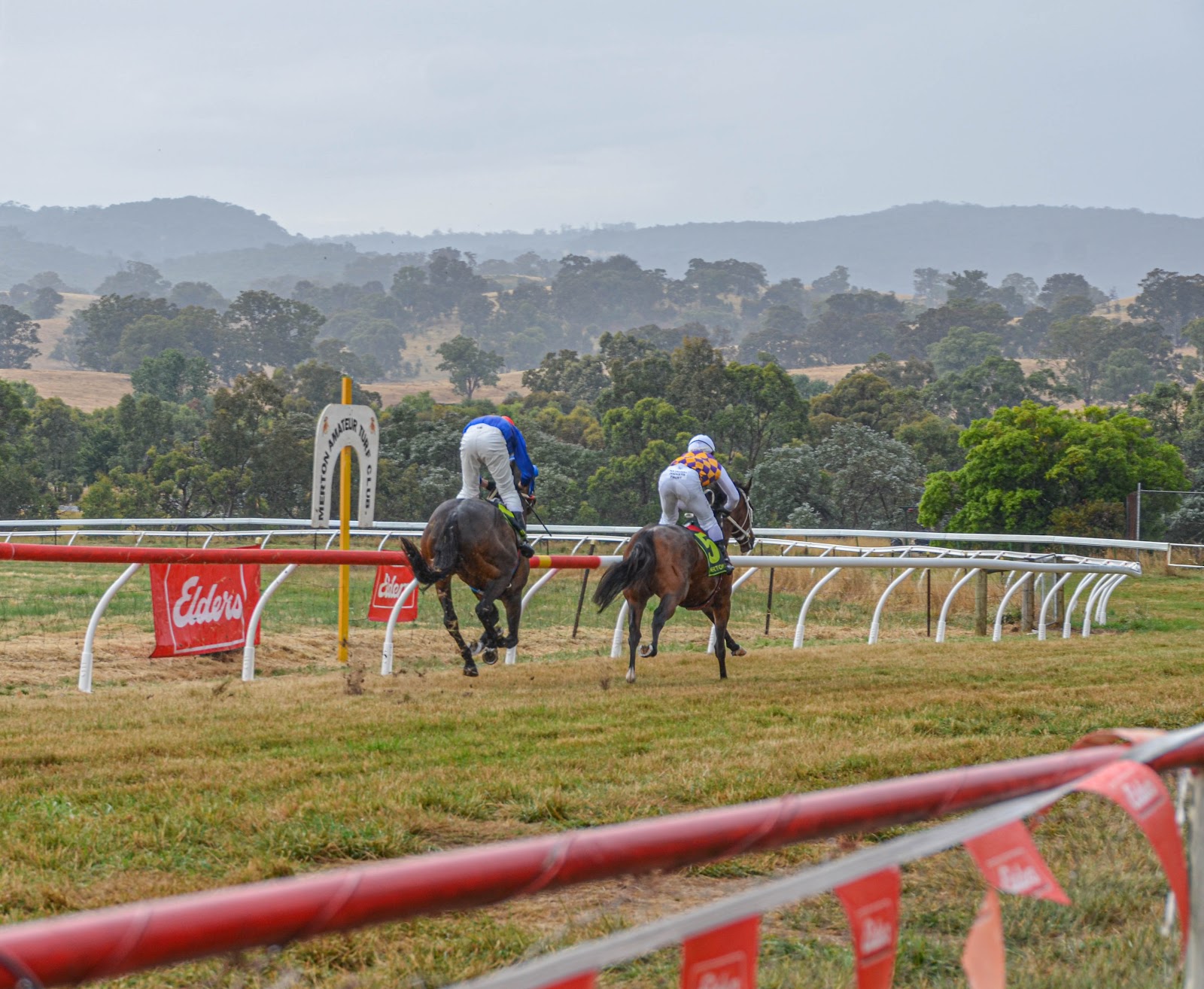 Merton Race Club 3