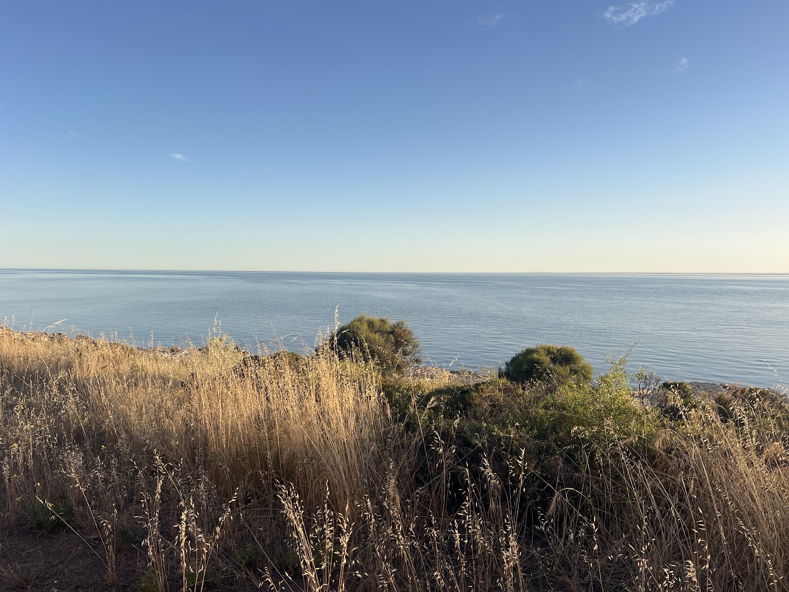 Len Barker Reserve 3