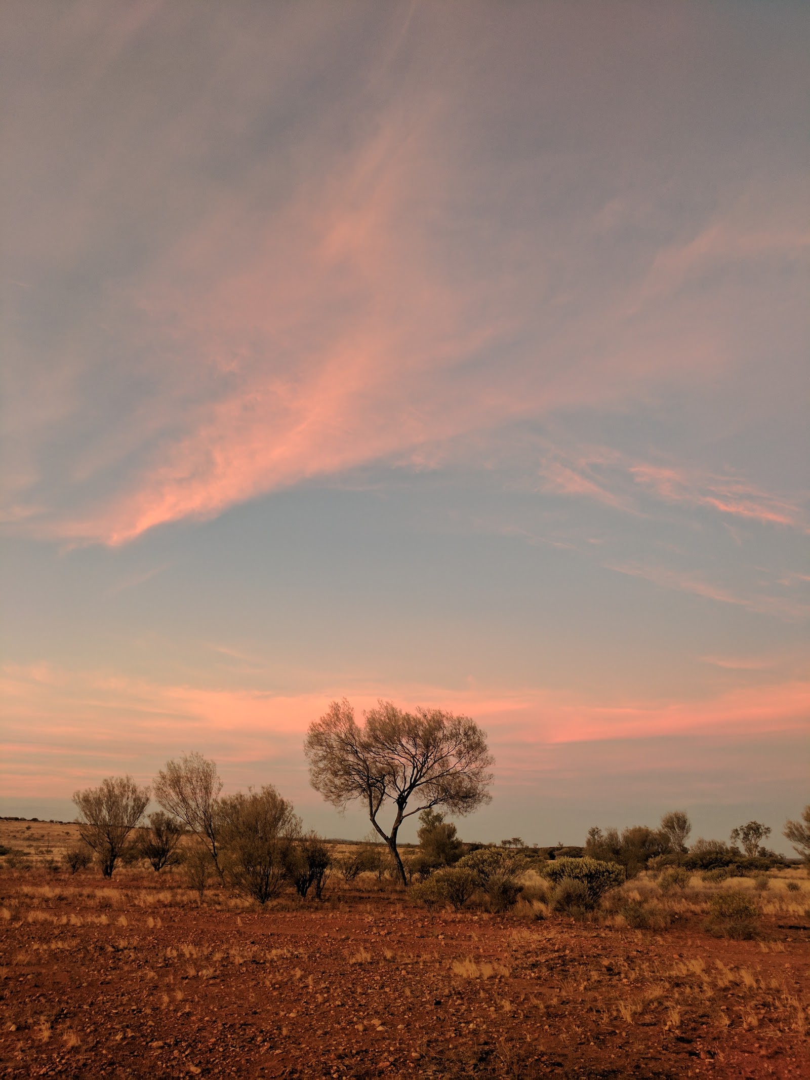 Henbury Meteorites Conservation Reserve 3
