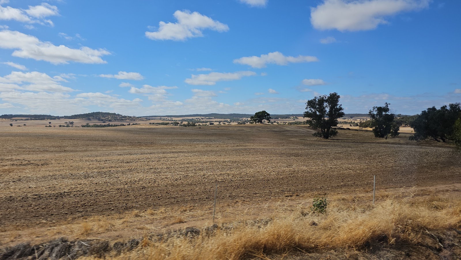 Pingelly Caravan Park Bookings 4