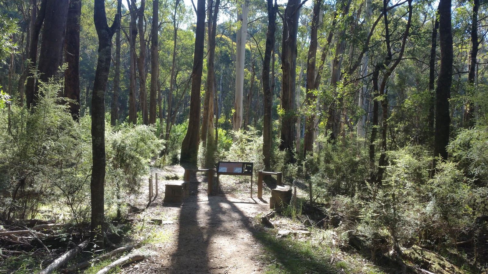 Stringybark Creek Historic Reserve 2
