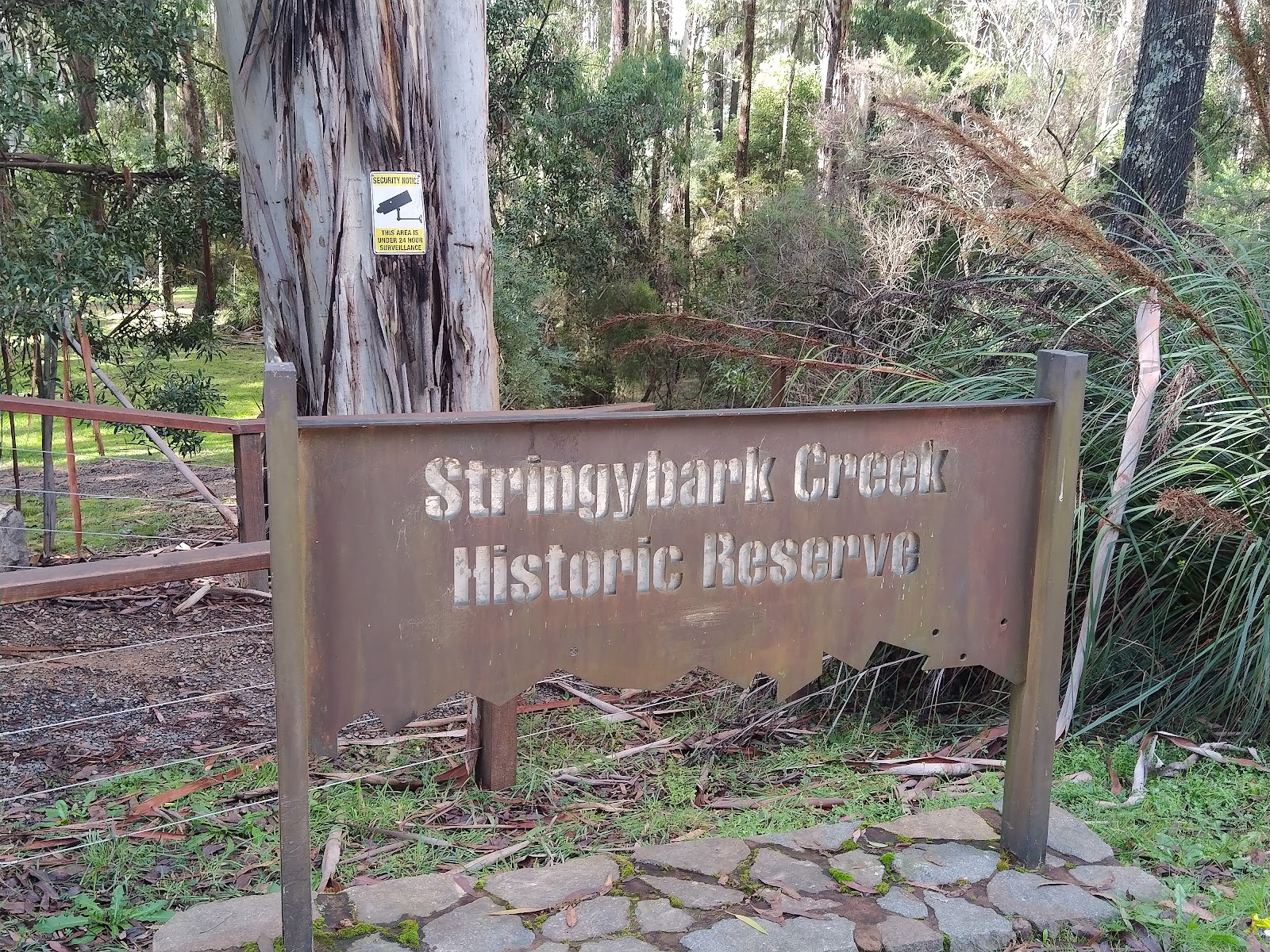 Stringybark Creek Historic Reserve 9
