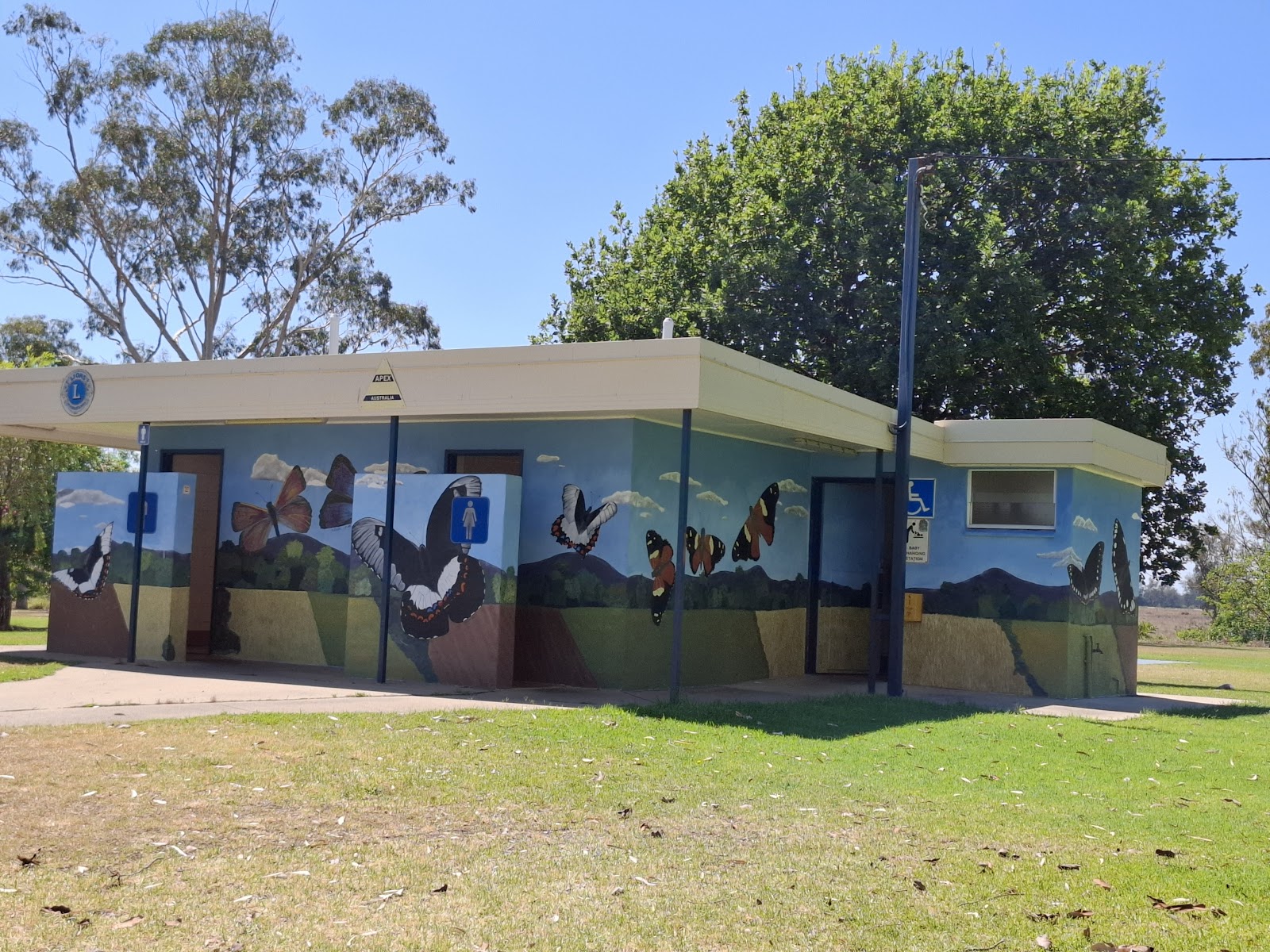 Inglewood Apex Lions Park 2