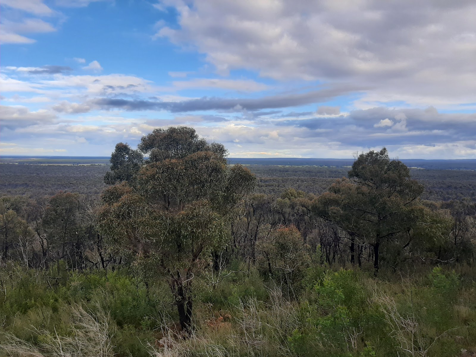Holey Hill Camping Area 2