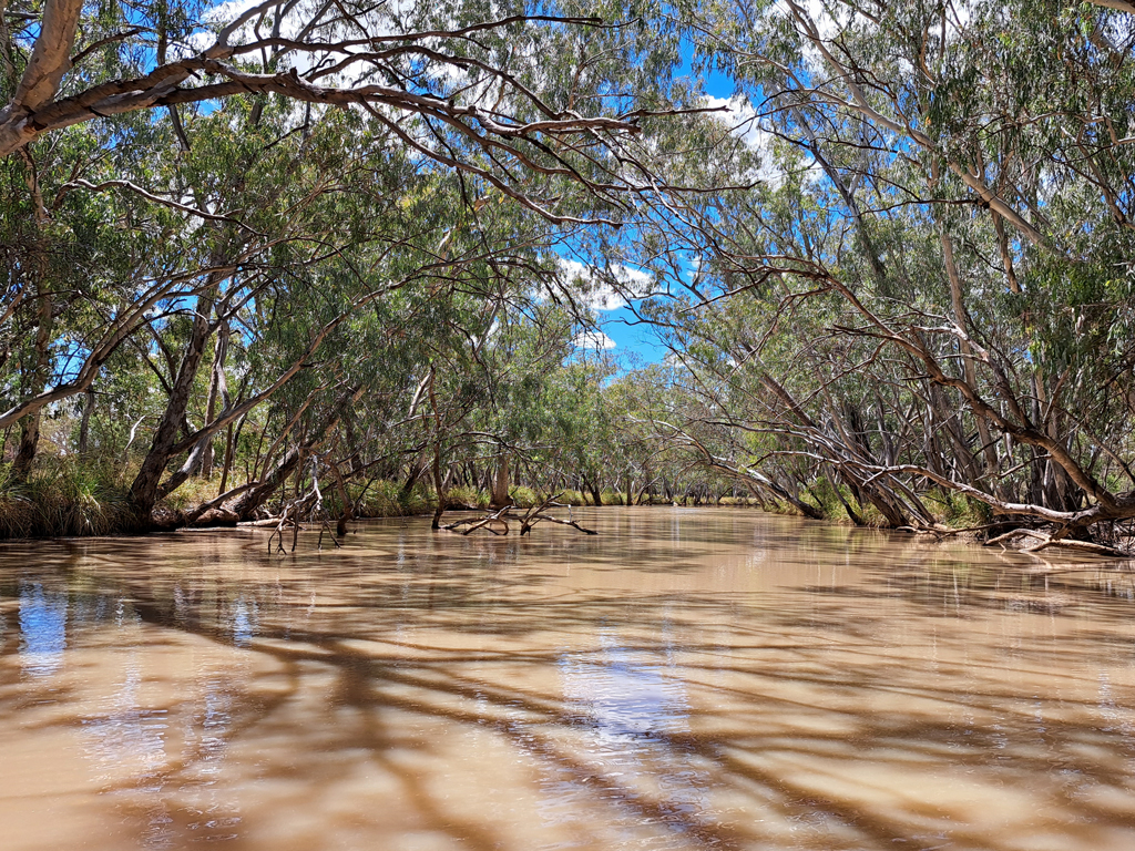 Wallam Creek, free camp 2