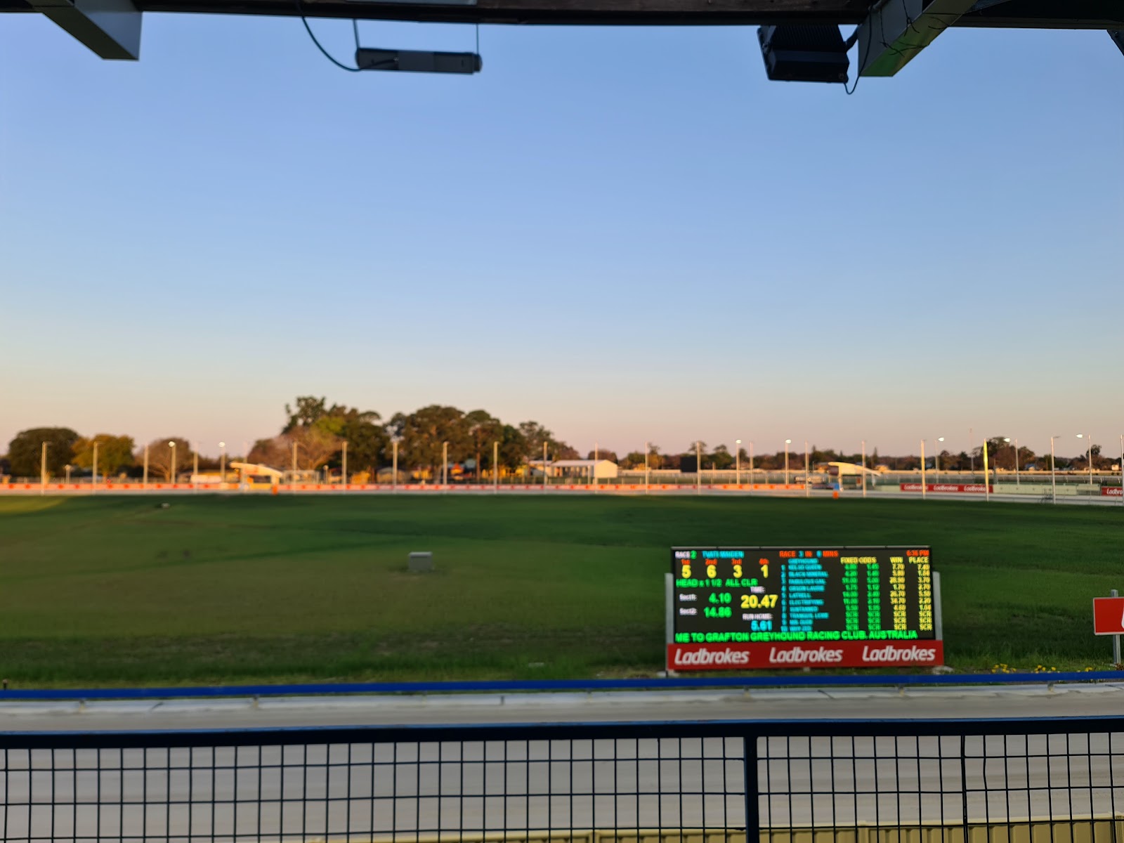 Grafton Greyhound Racing Club 8