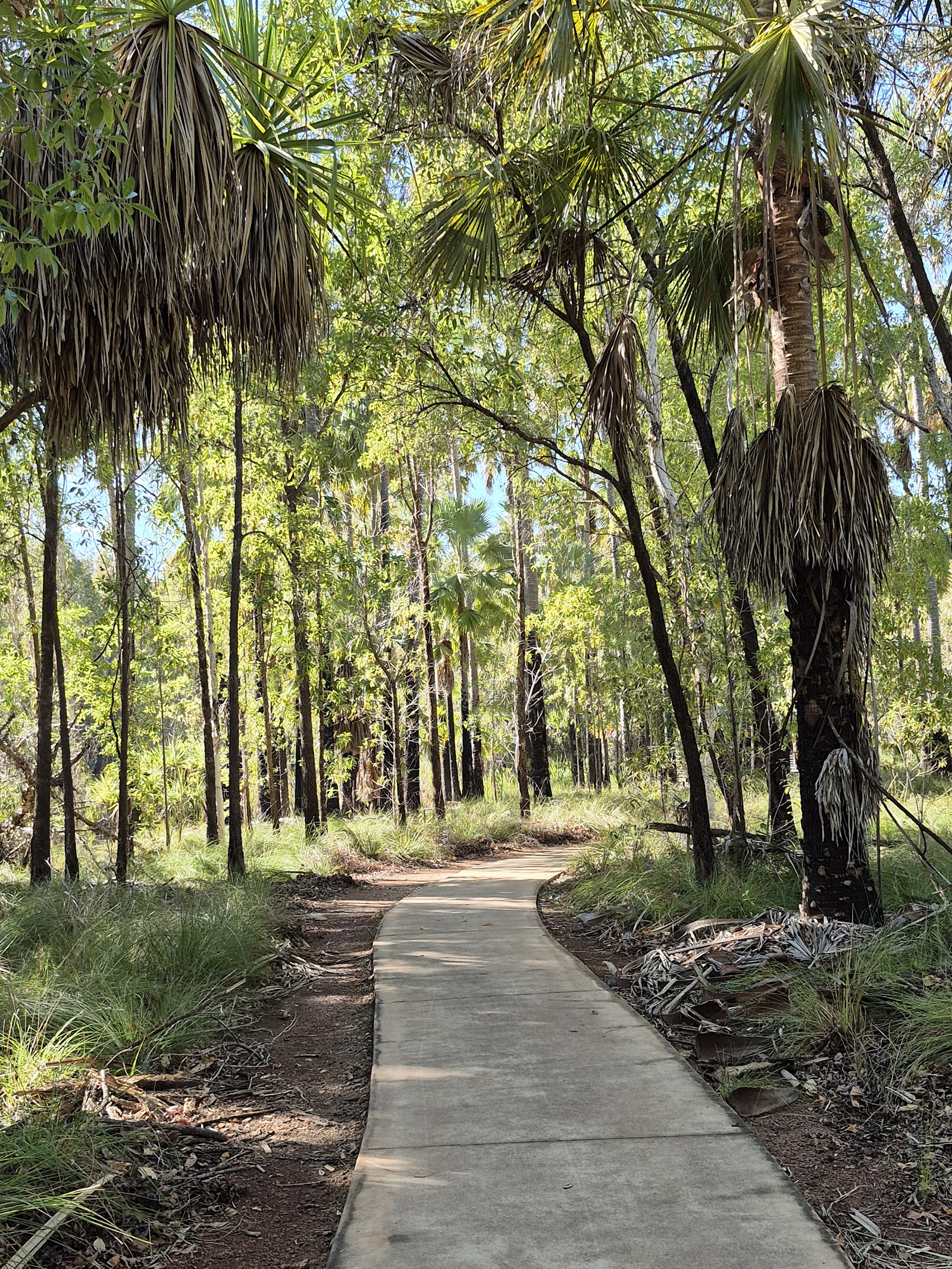 Mataranka Hot springs 3