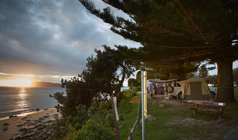 Trial Bay Gaol campground 6