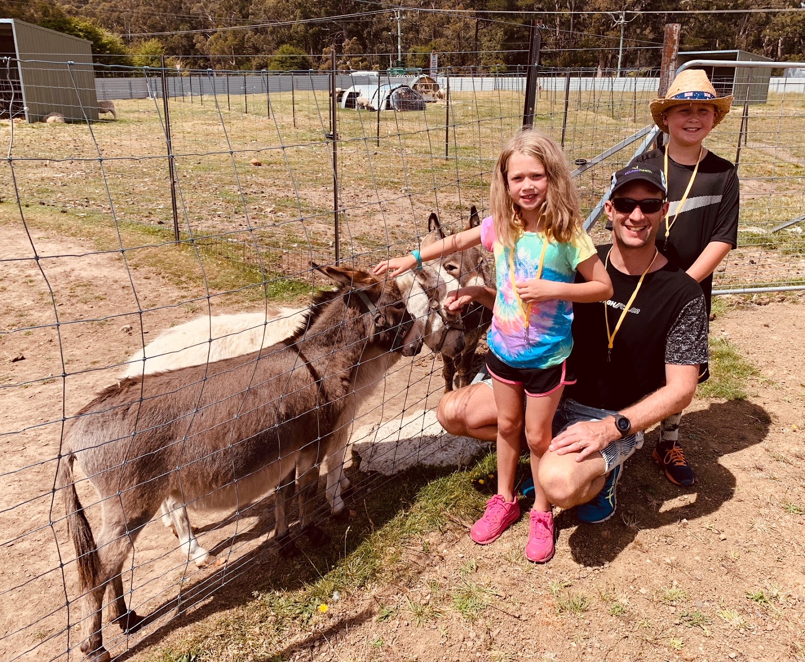 Rosedale Homestead Campground, Animal and Bird Sanctuary 2