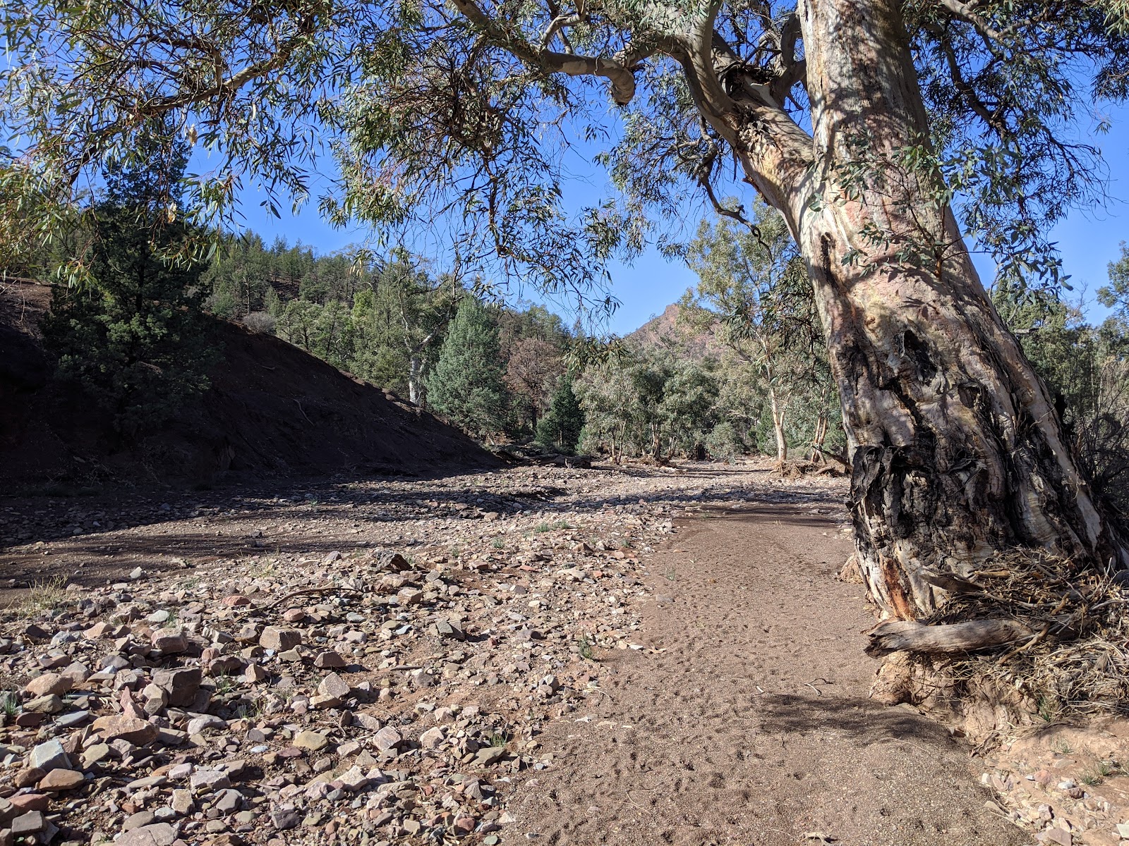 Koolamon Campground 3