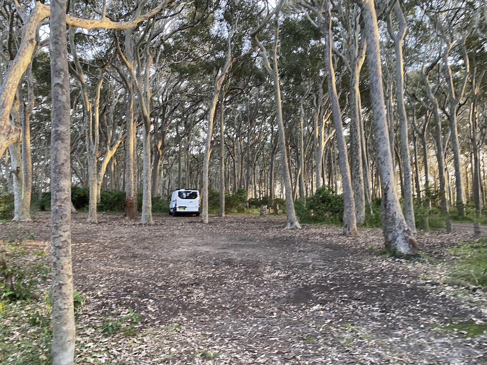 Brou Lake Campground 4