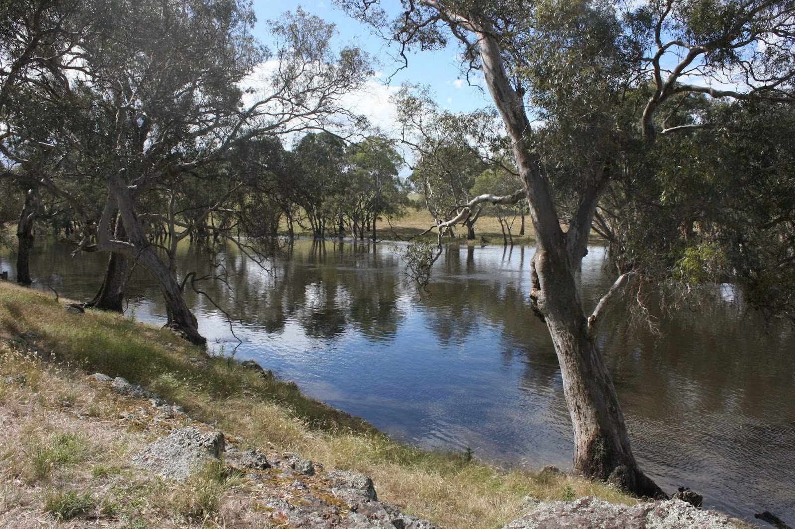 Cavendish Campground (RV & Caravan suitable) 2