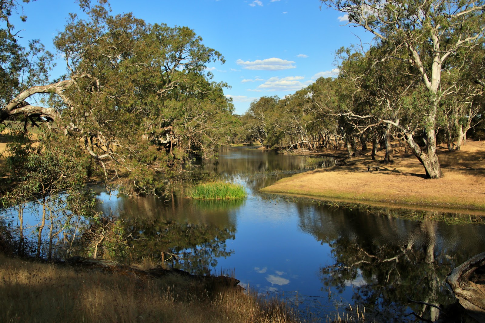 Cavendish Campground (RV & Caravan suitable) 3