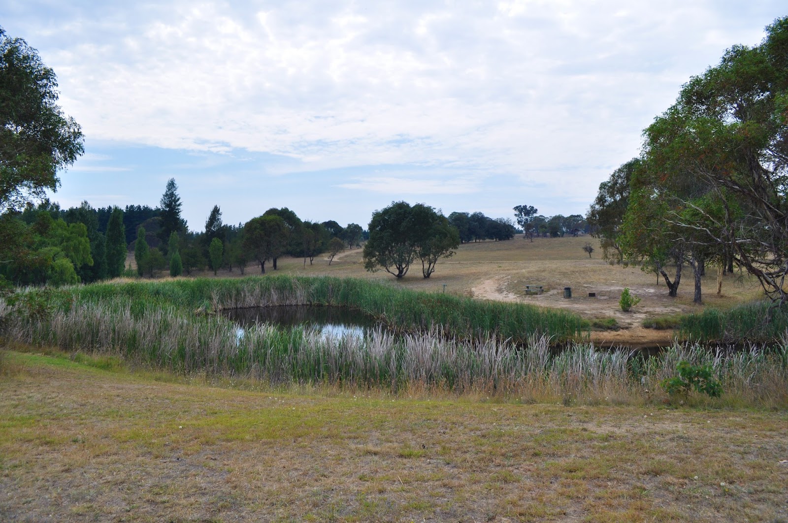 Macquarie Woods 2