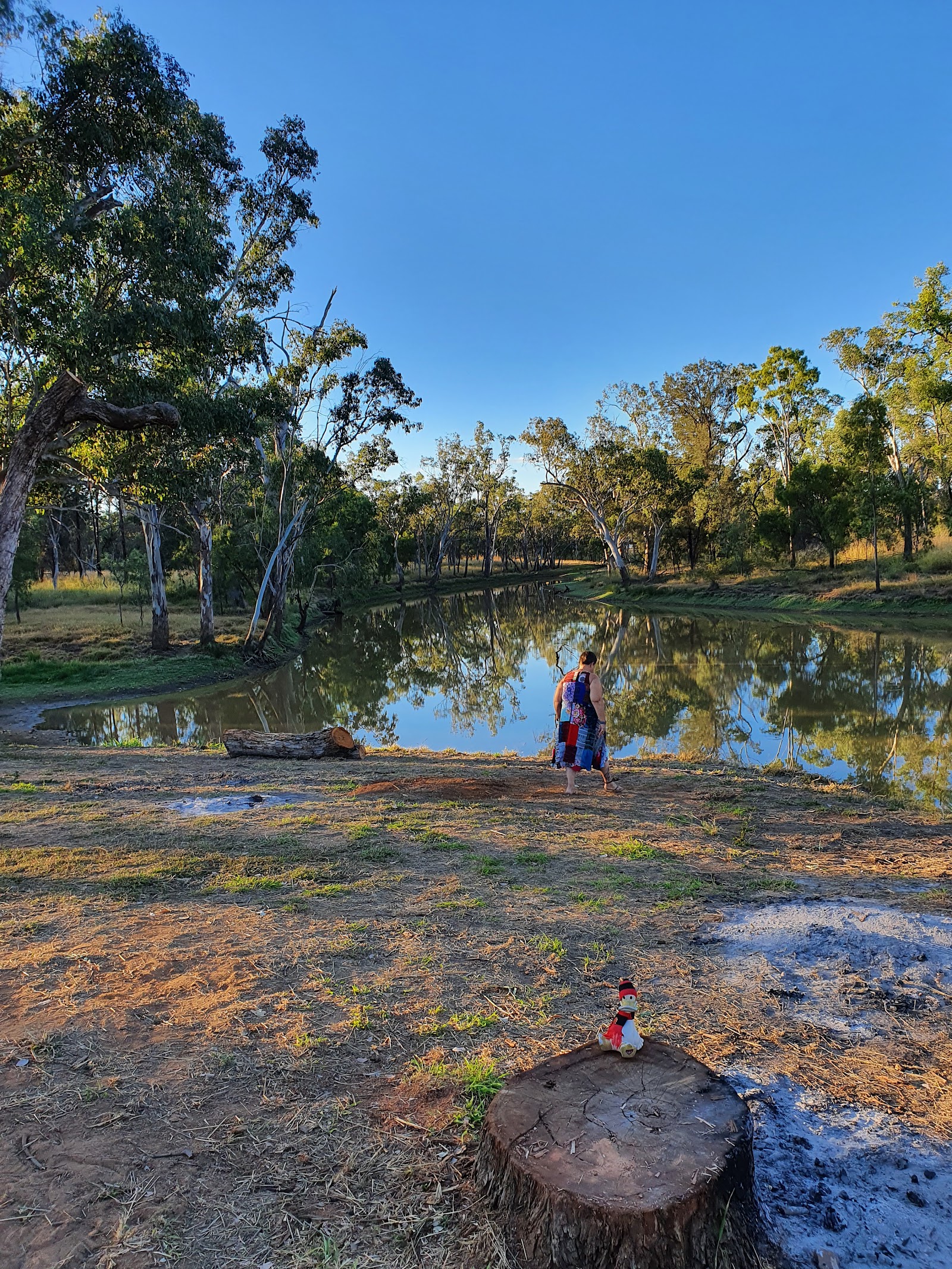 Judds Lagoon Campground 6