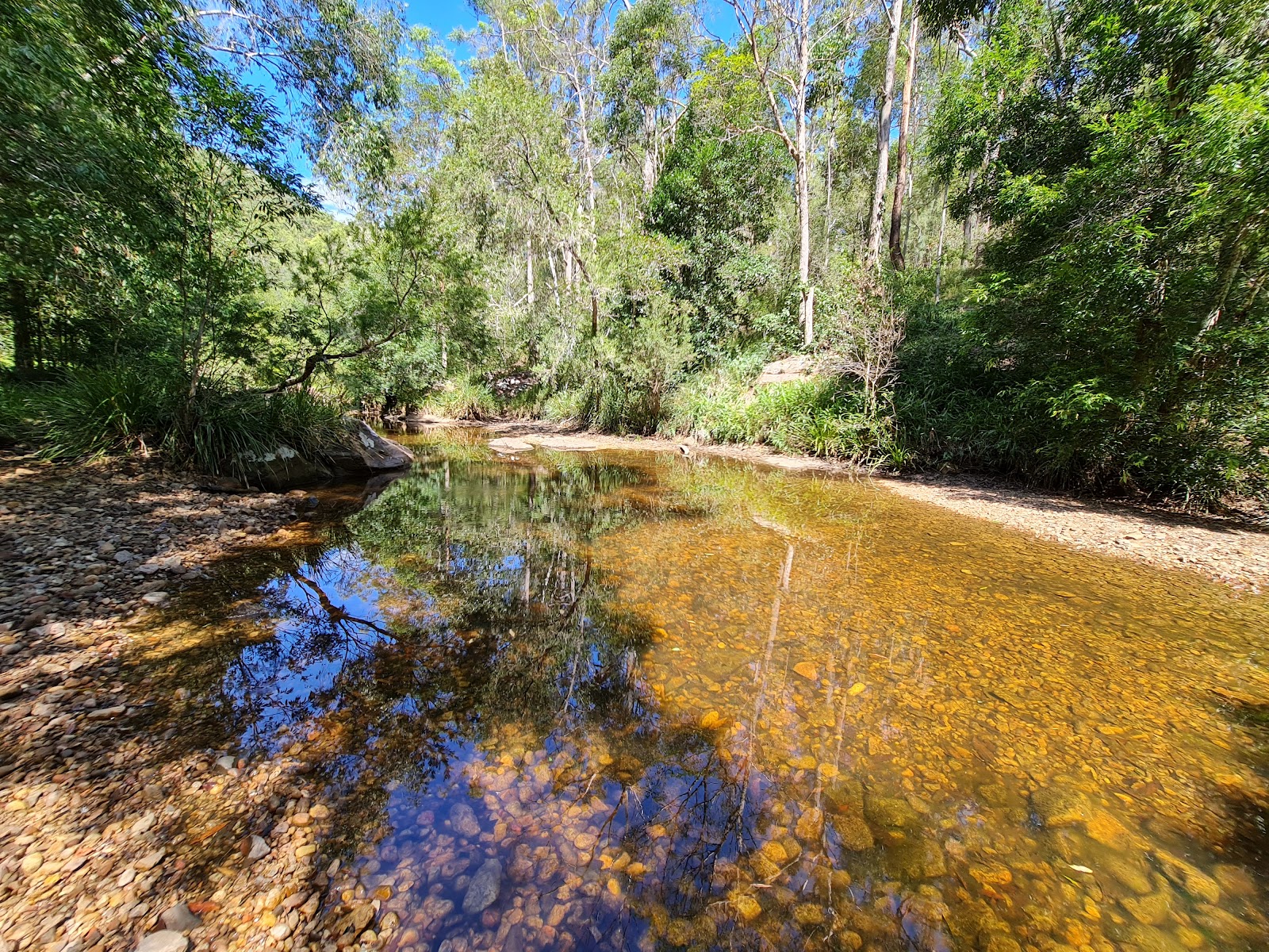 Gheerulla camping area, Mapleton National Park 2