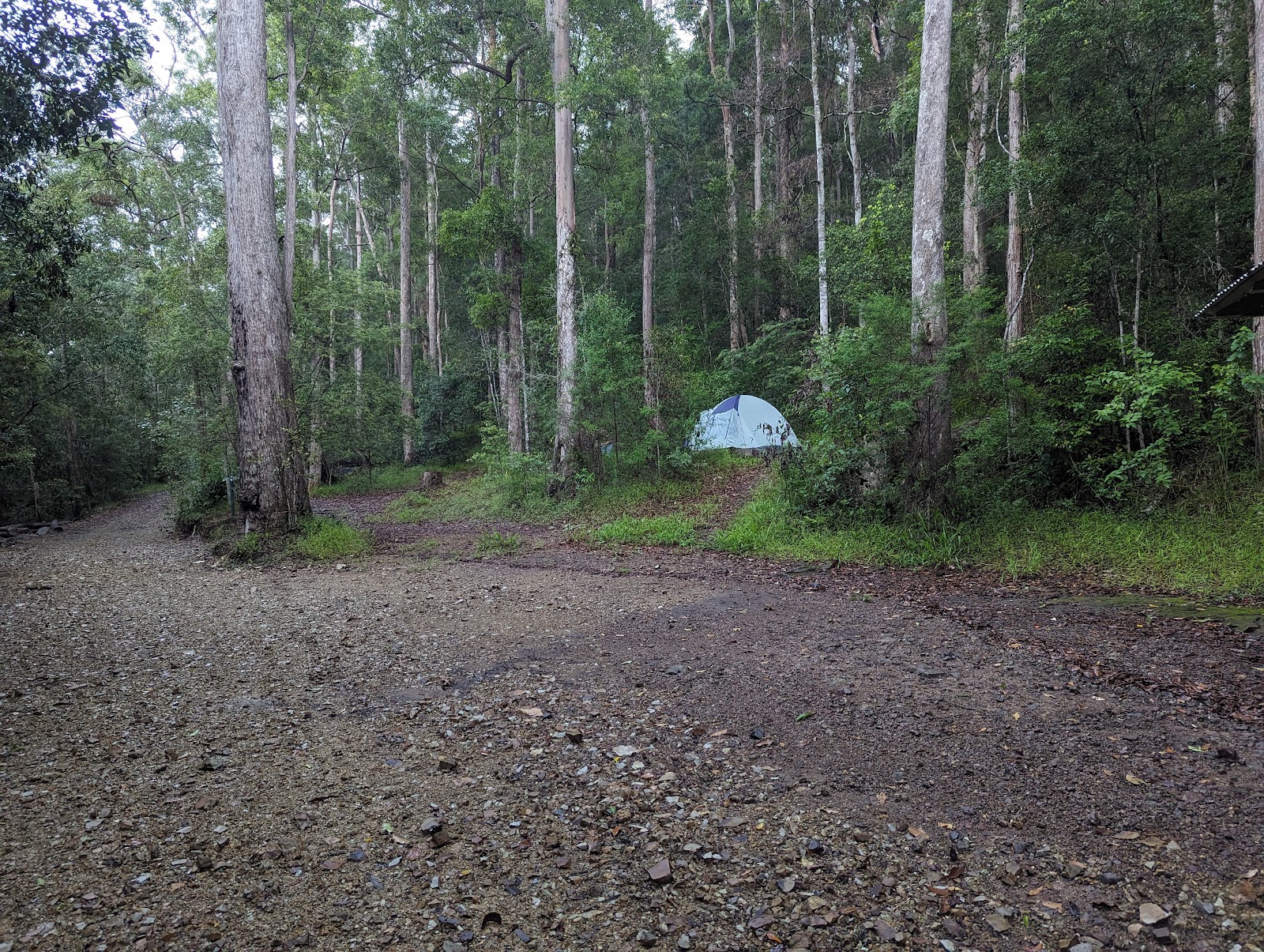 Gheerulla camping area, Mapleton National Park 3