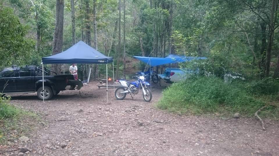 Gheerulla camping area, Mapleton National Park 6
