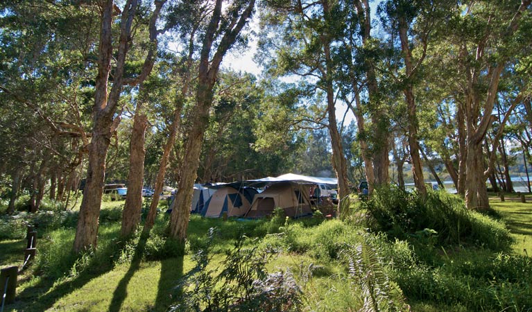 Neranie campground and picnic area 3