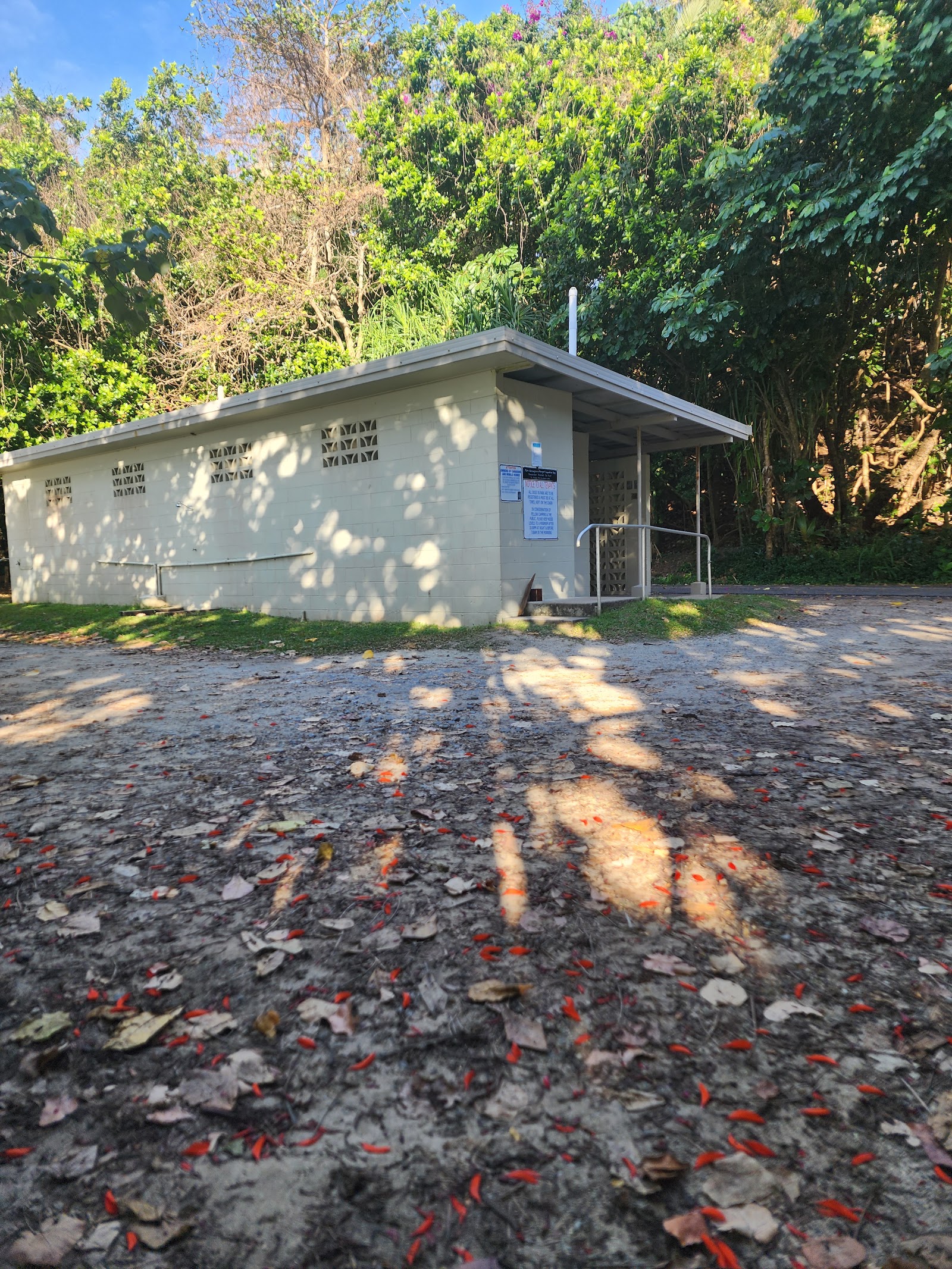 Bingil Bay Campground 5