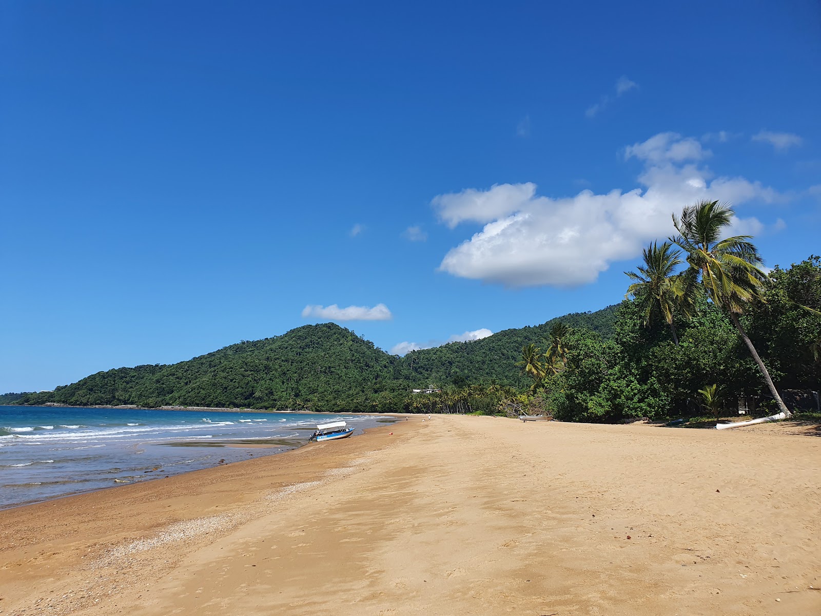 Bingil Bay Campground 3