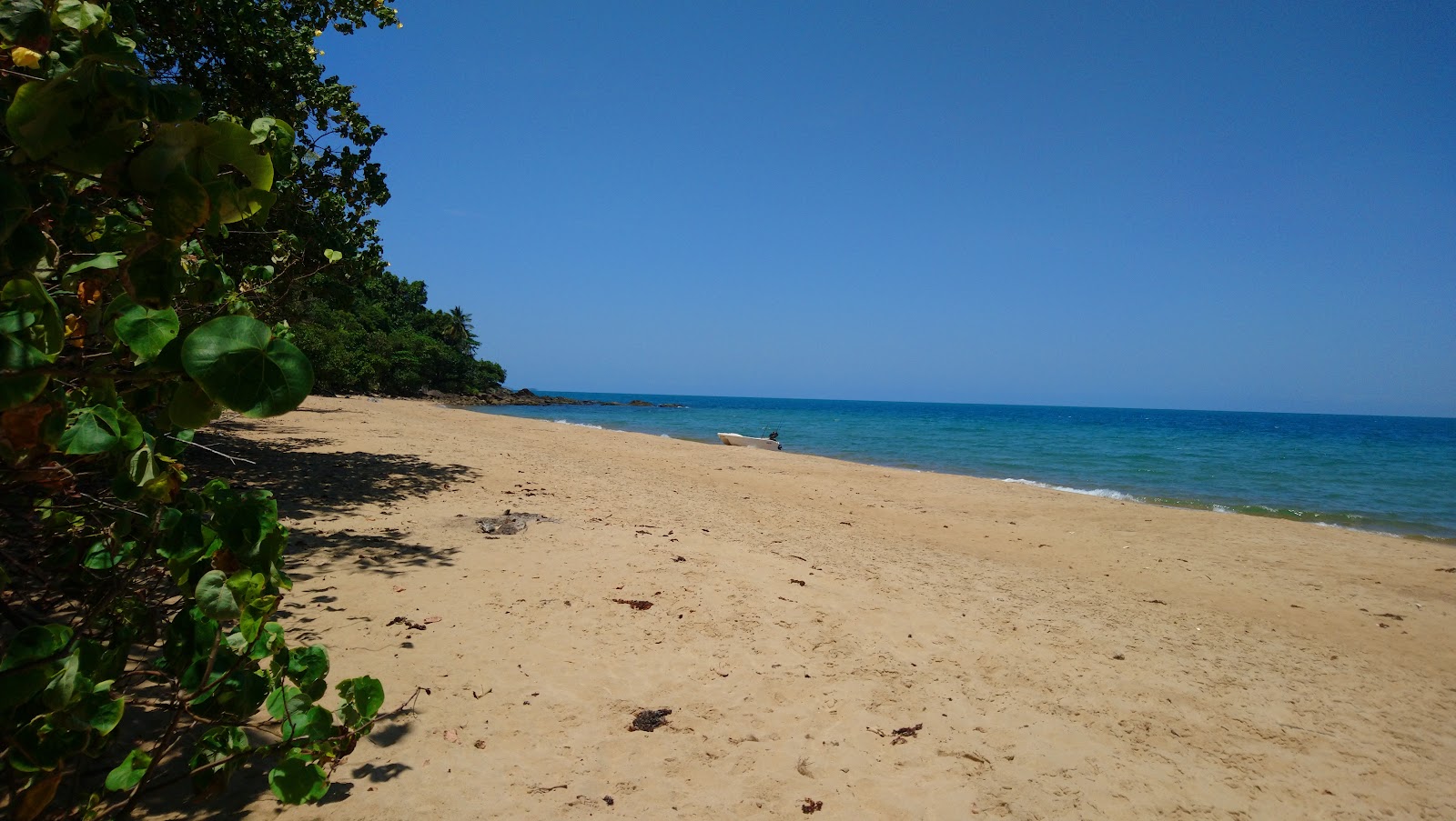 Bingil Bay Campground 7