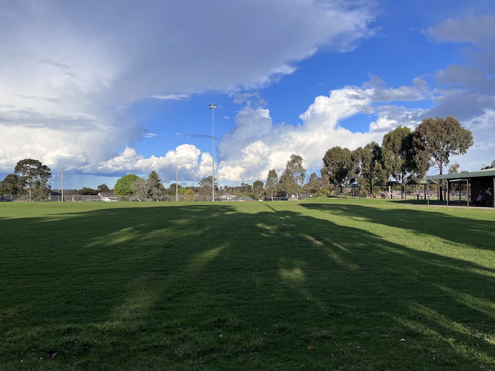 Binalong Park 2