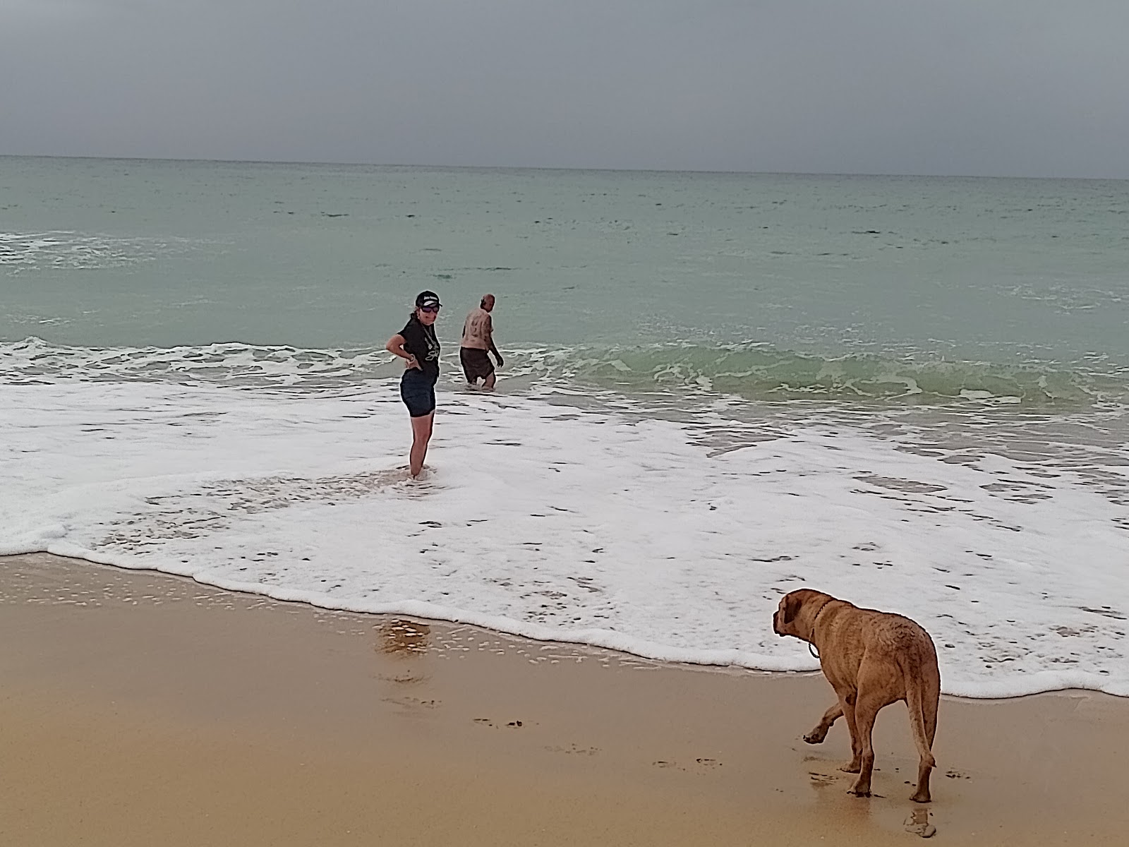 Mcgaurans Beach Dispersed camping 3