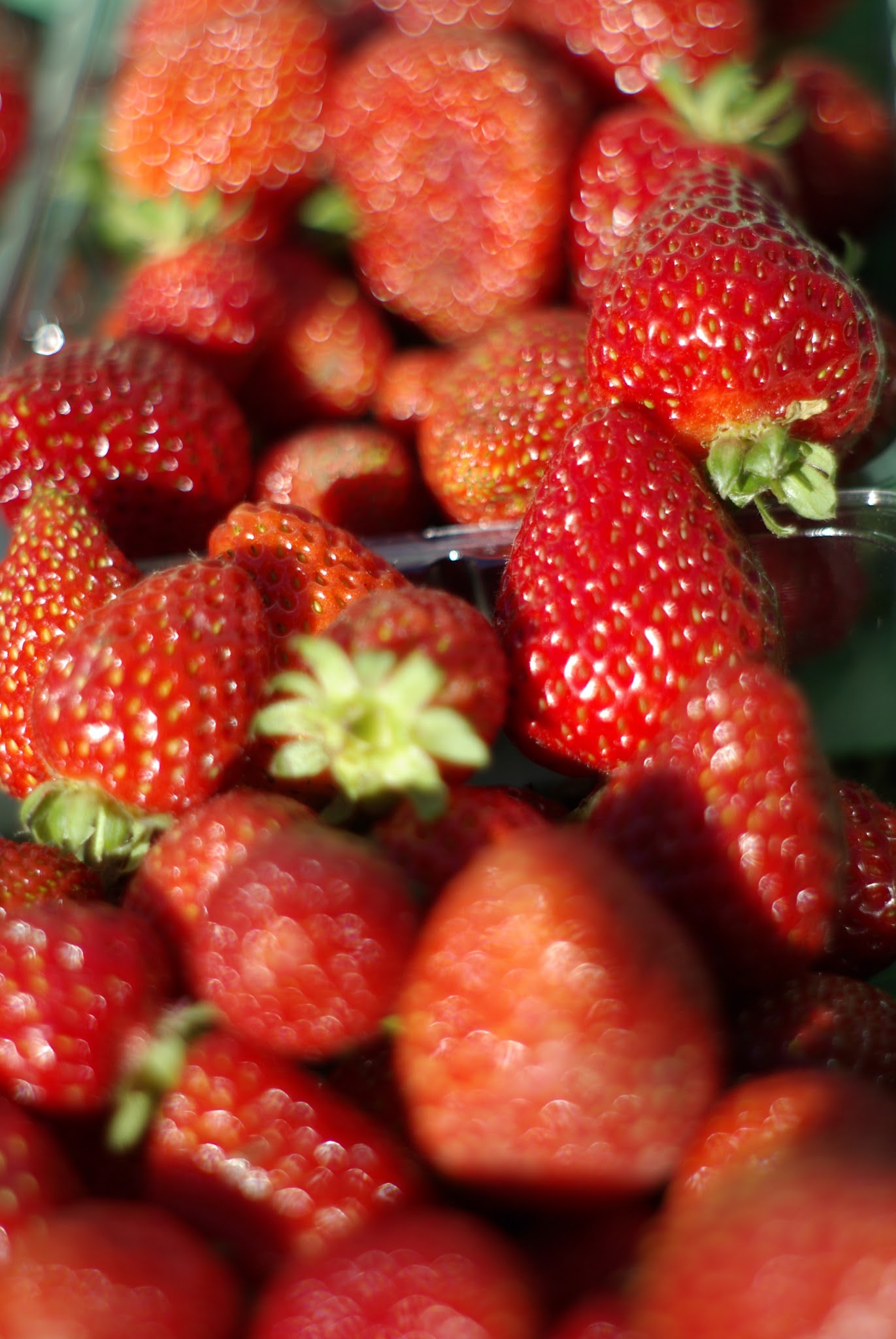 Turners Beach Berry Patch 6