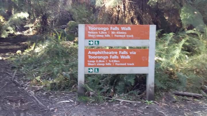 Toorongo Falls 2