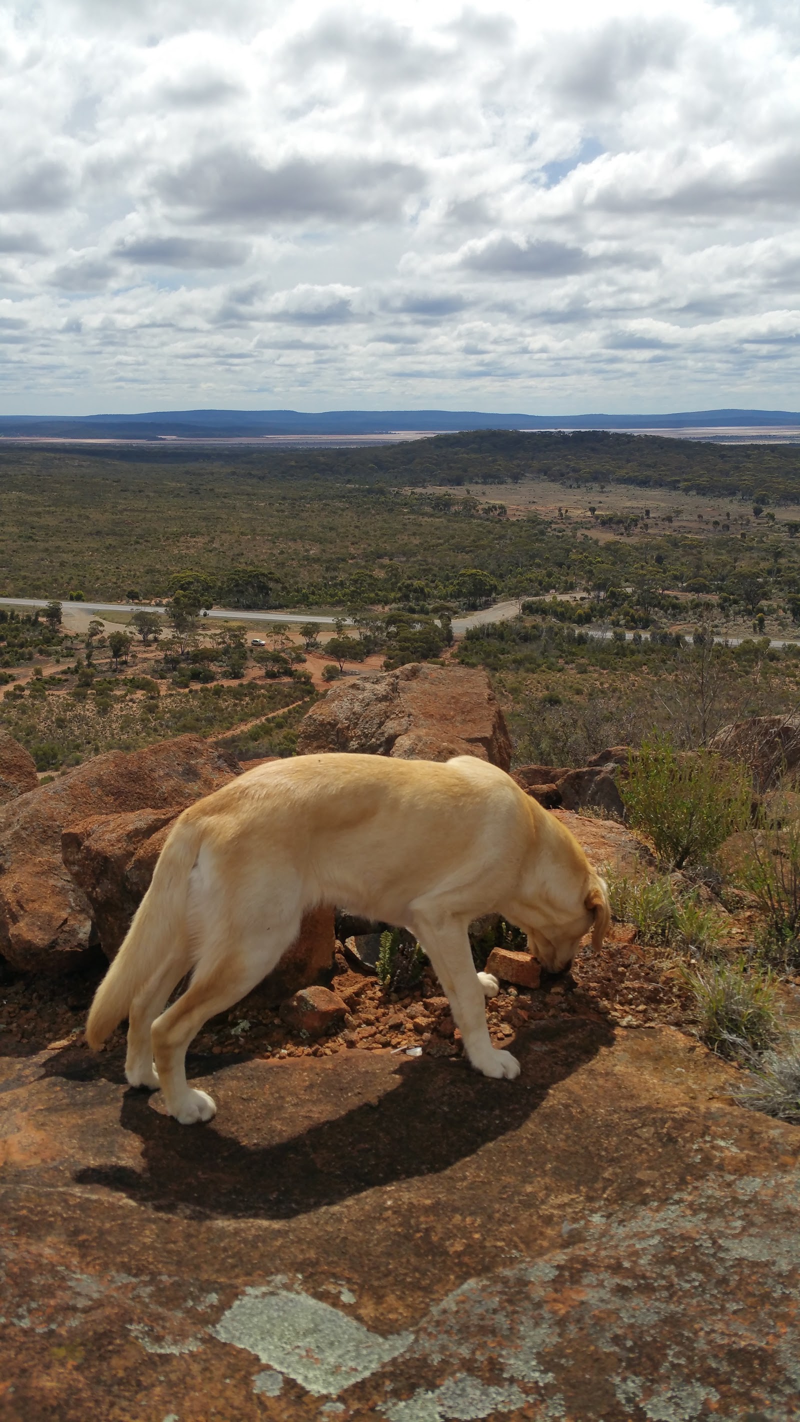 Eyre Highway 2