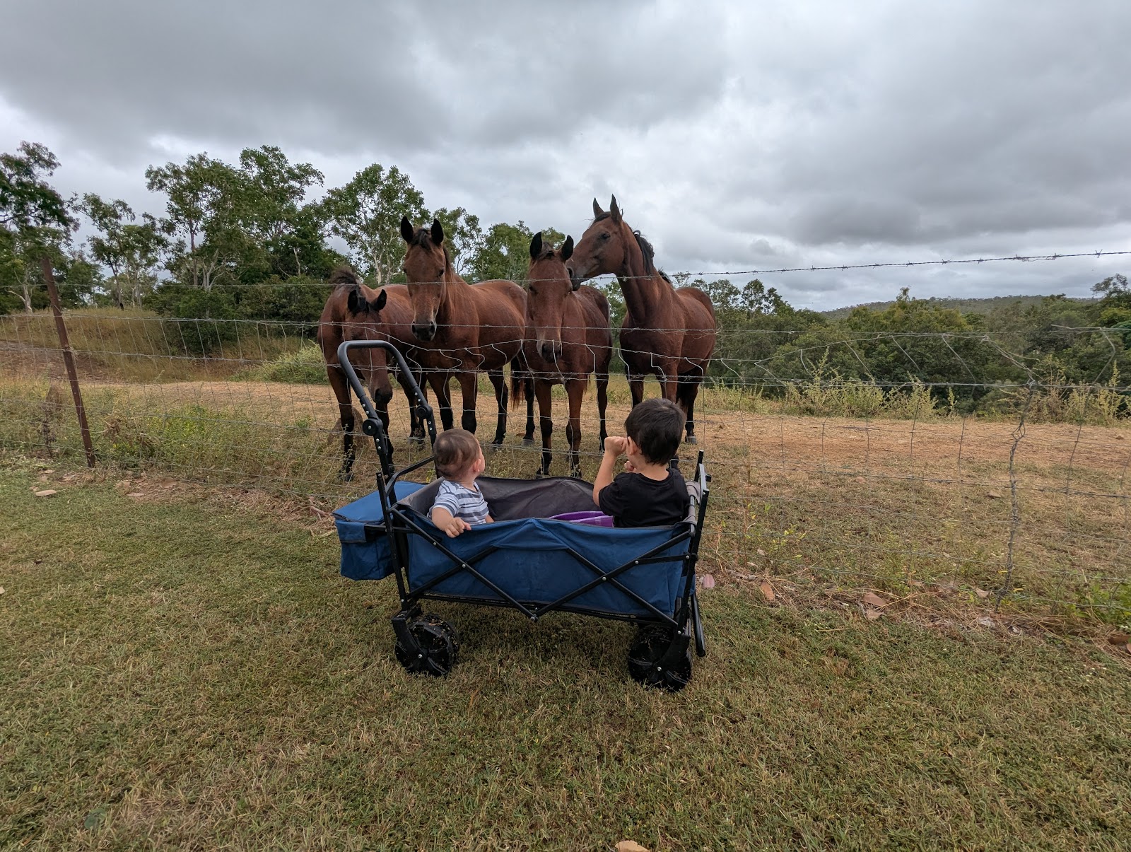 Lakeland Downs Camping 6