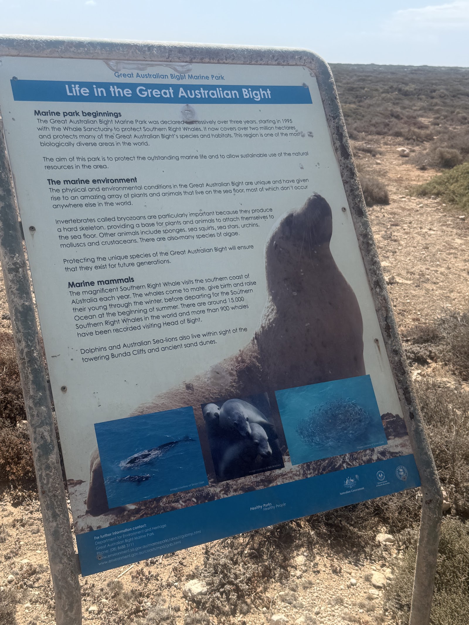 Great Australian Bight - Scenic Lookout No 3 4