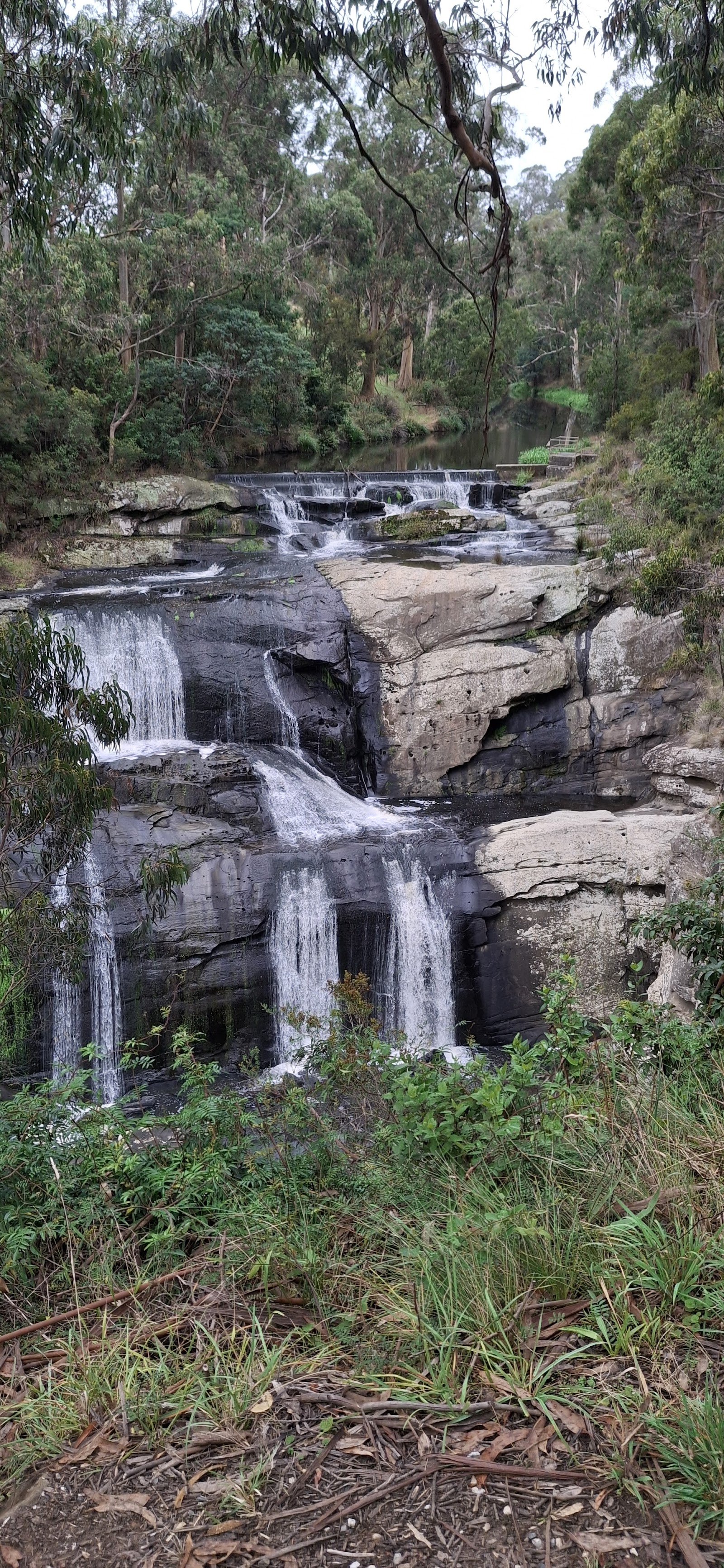 Agnes River 2