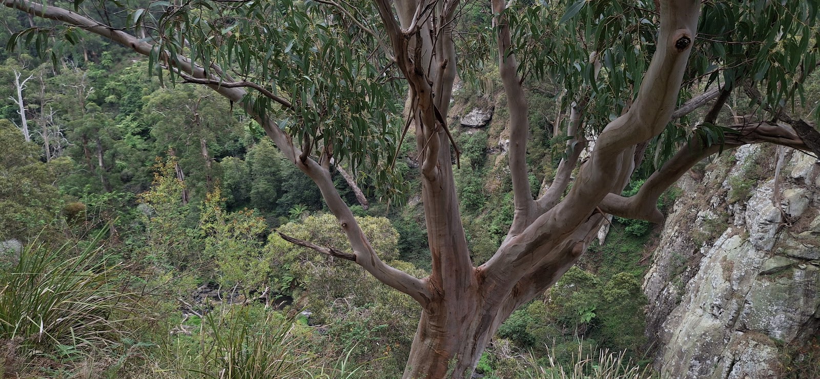 Agnes River 3